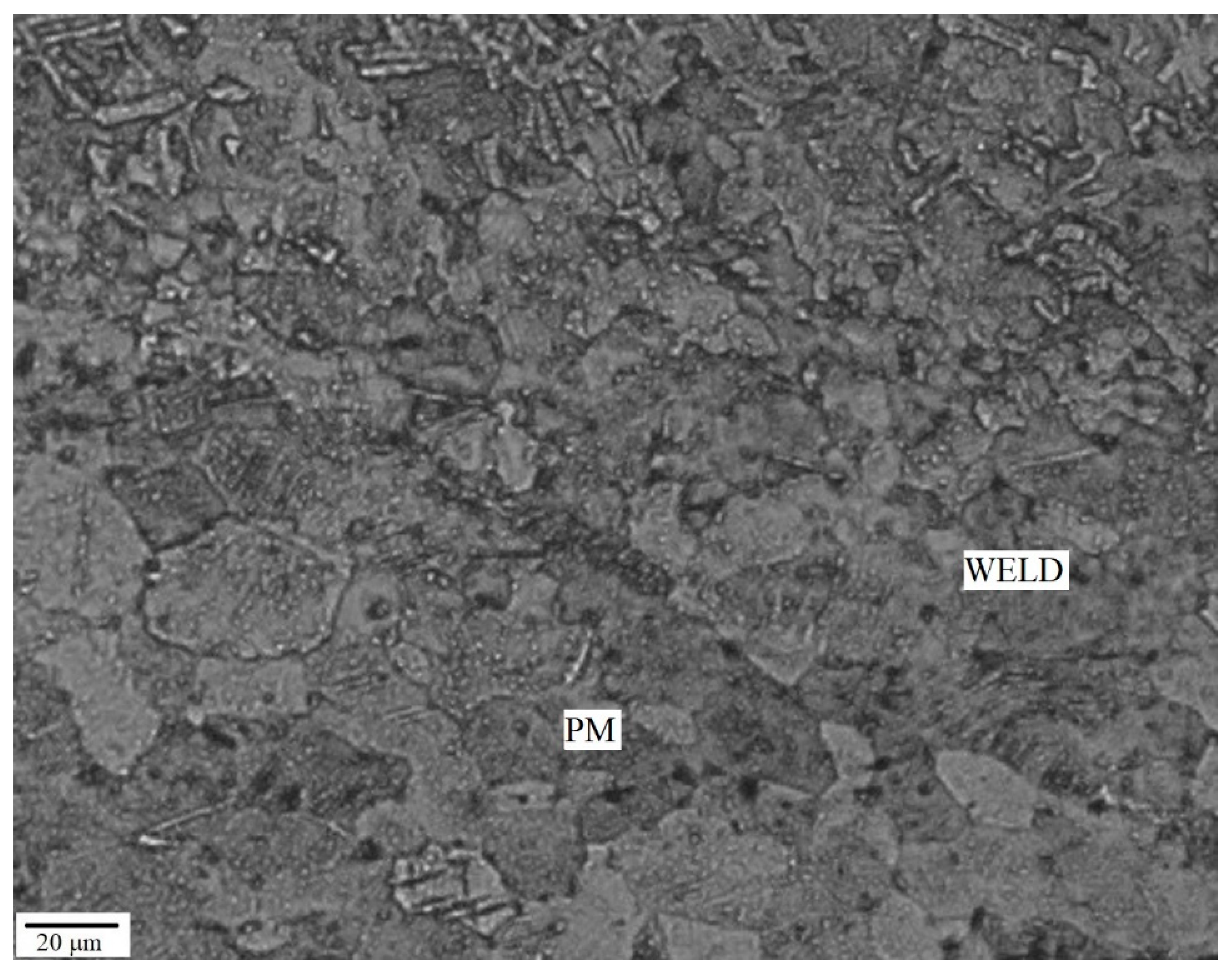 Metals 13 00524 g005