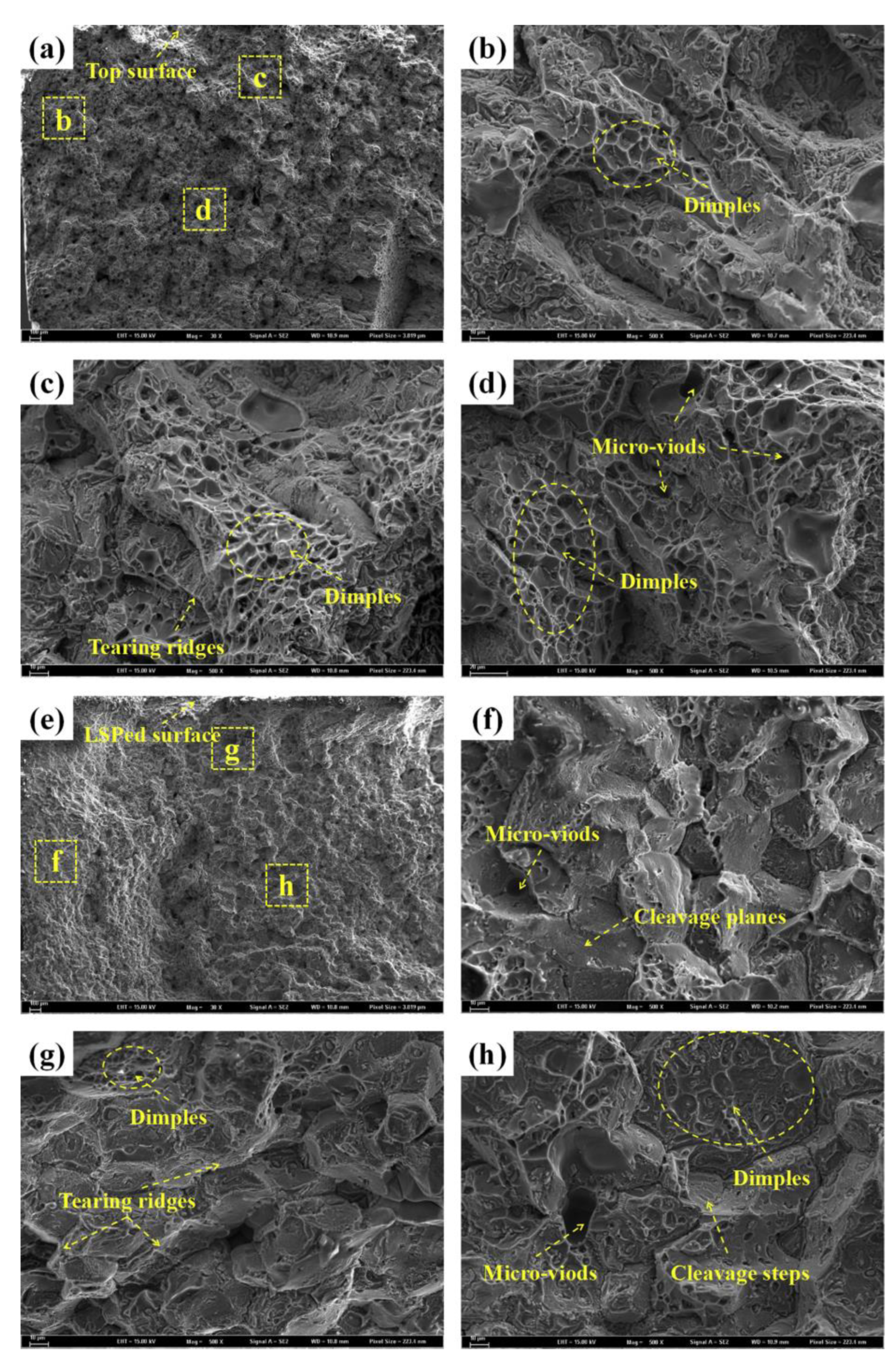 Metals 13 00526 g006 Metals 13 00526 g006