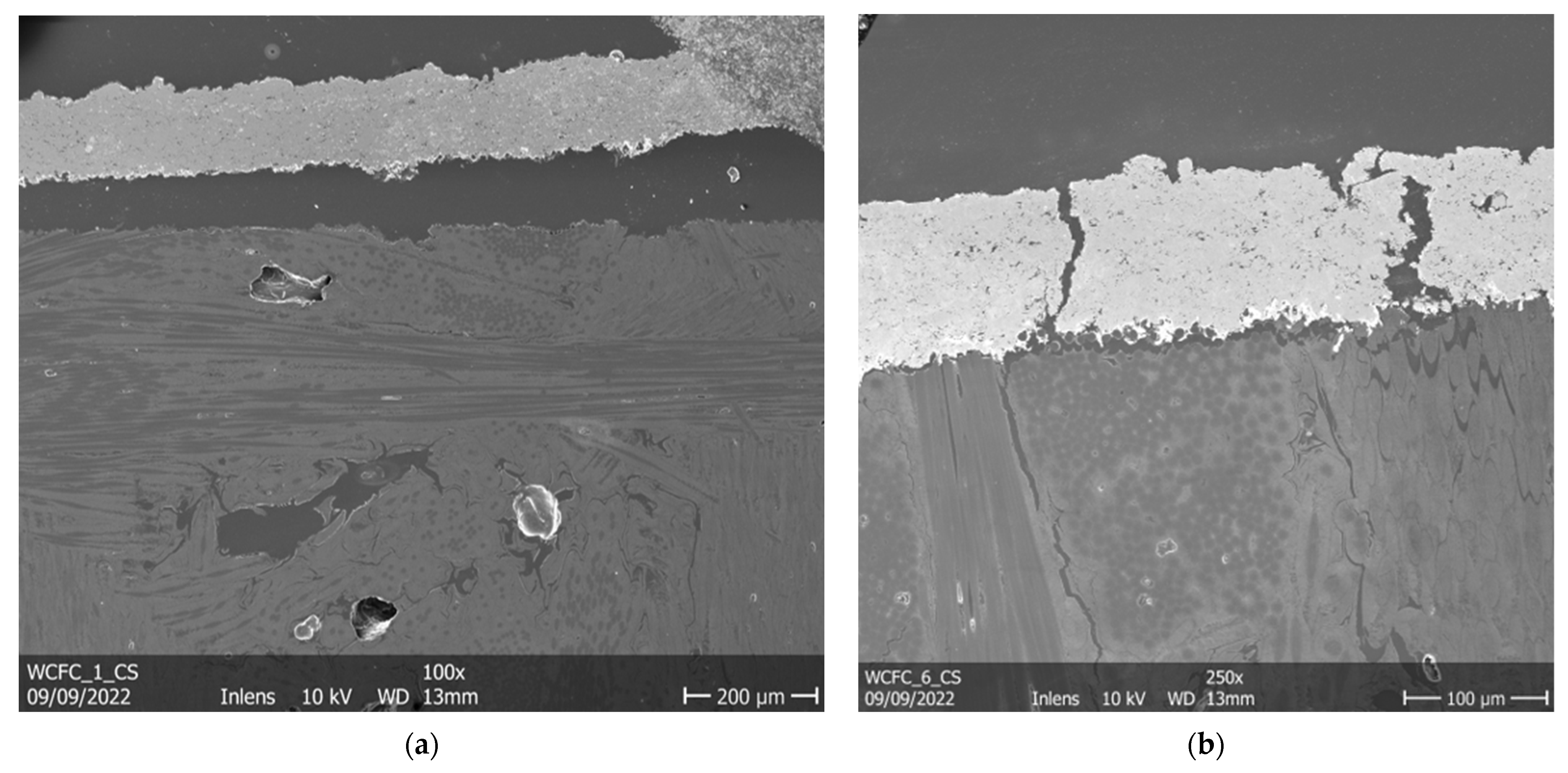 Metals 13 00531 g010