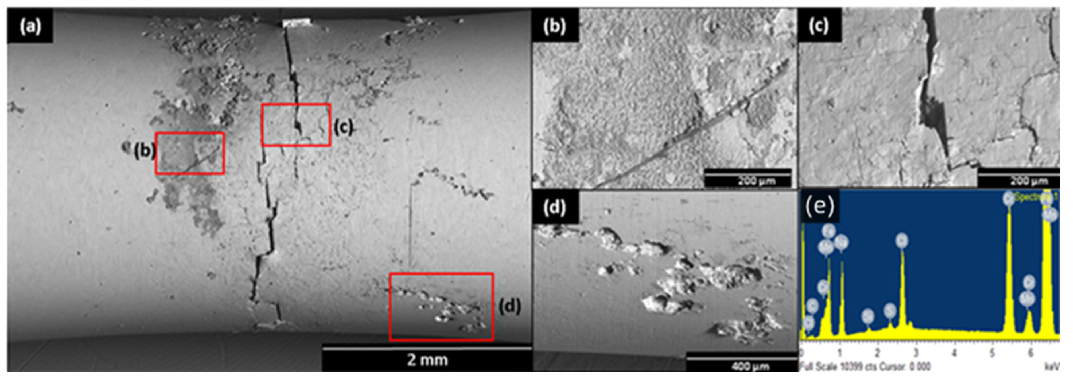 Metals 13 00544 g013