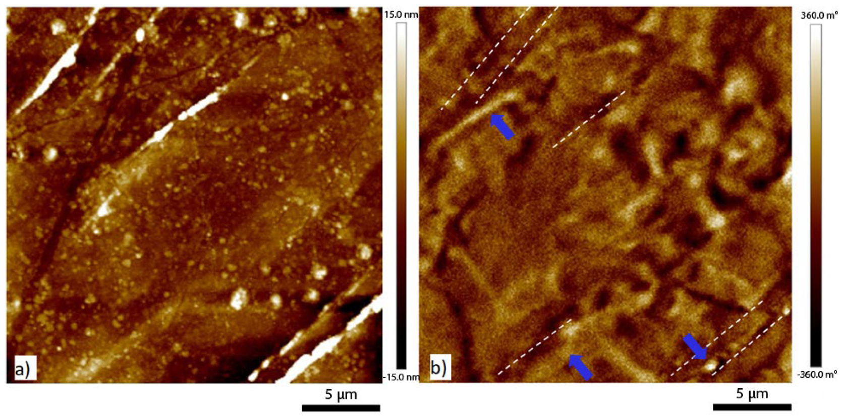 Metals 13 00546 g007