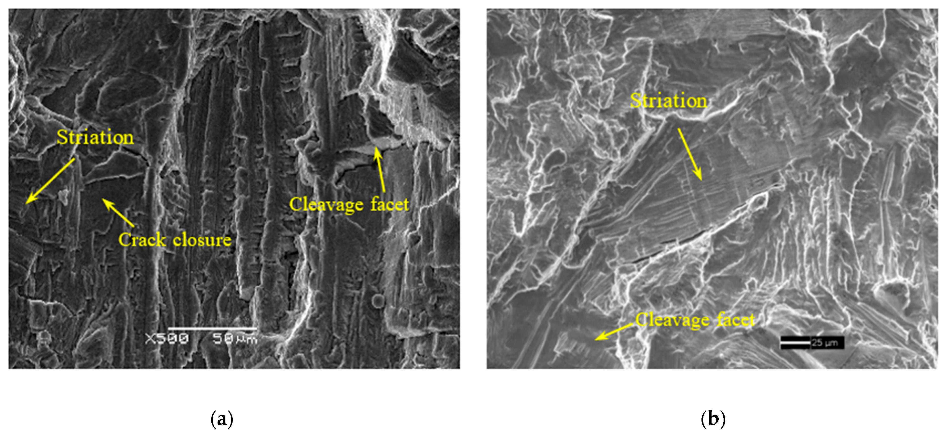 Metals 13 00553 g010