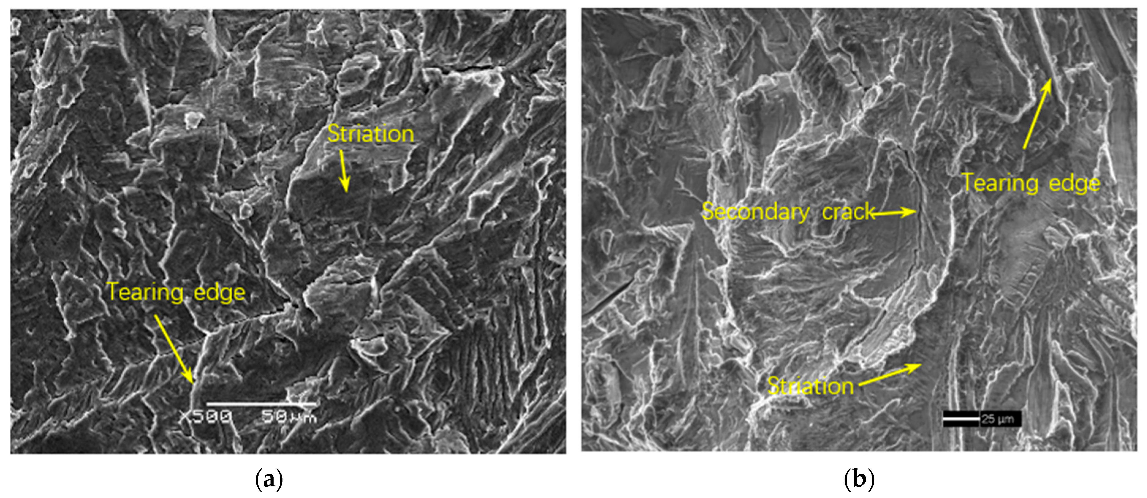 Metals 13 00553 g011