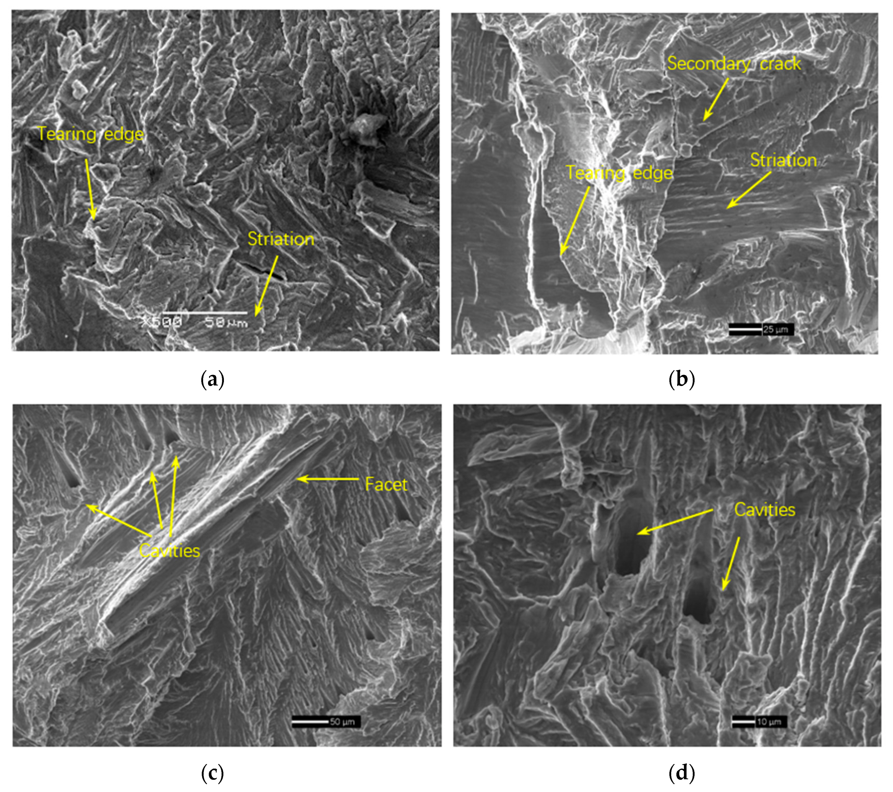 Metals 13 00553 g012