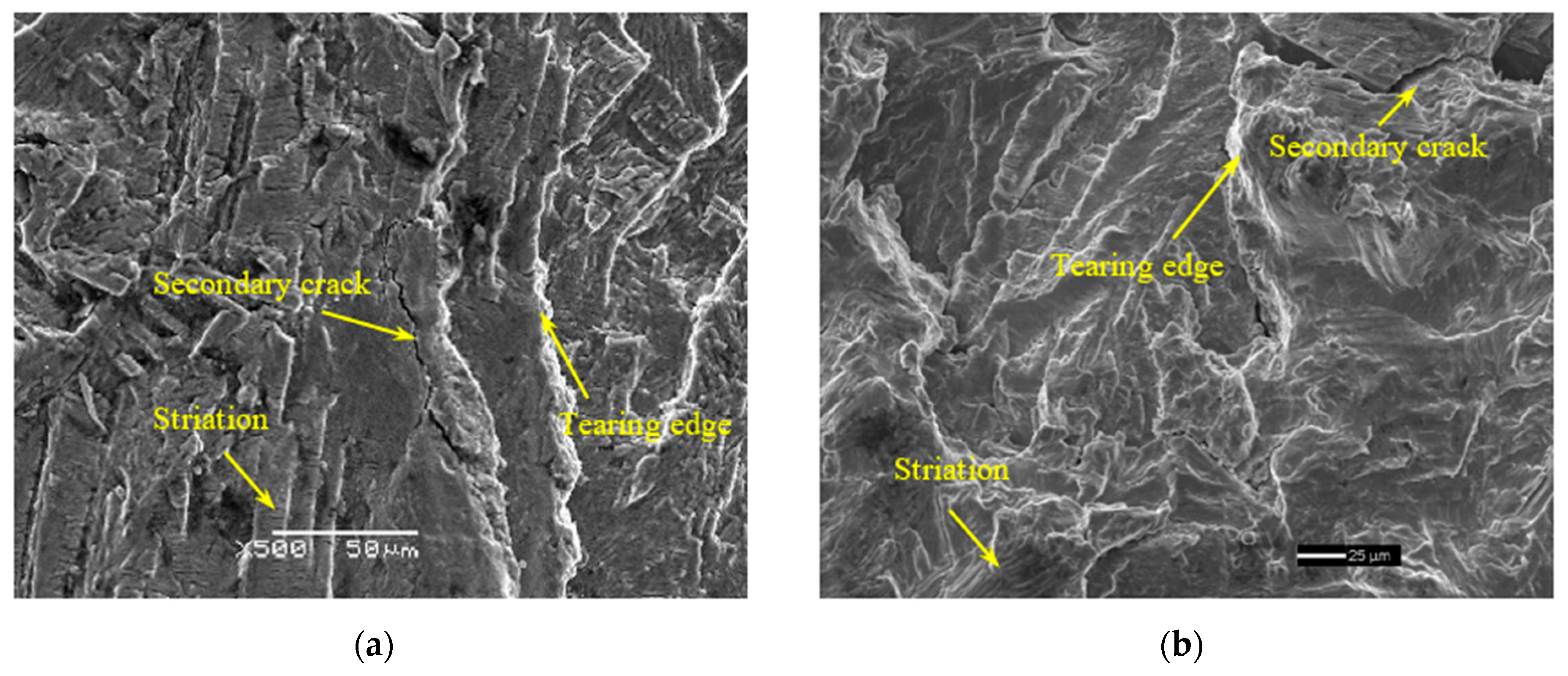 Metals 13 00553 g013