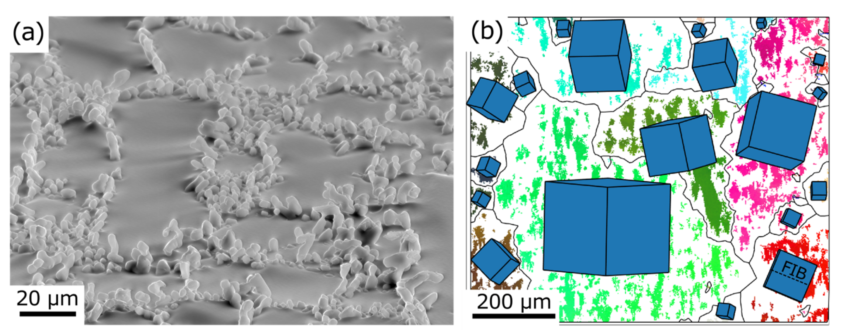 Metals 13 00557 g001