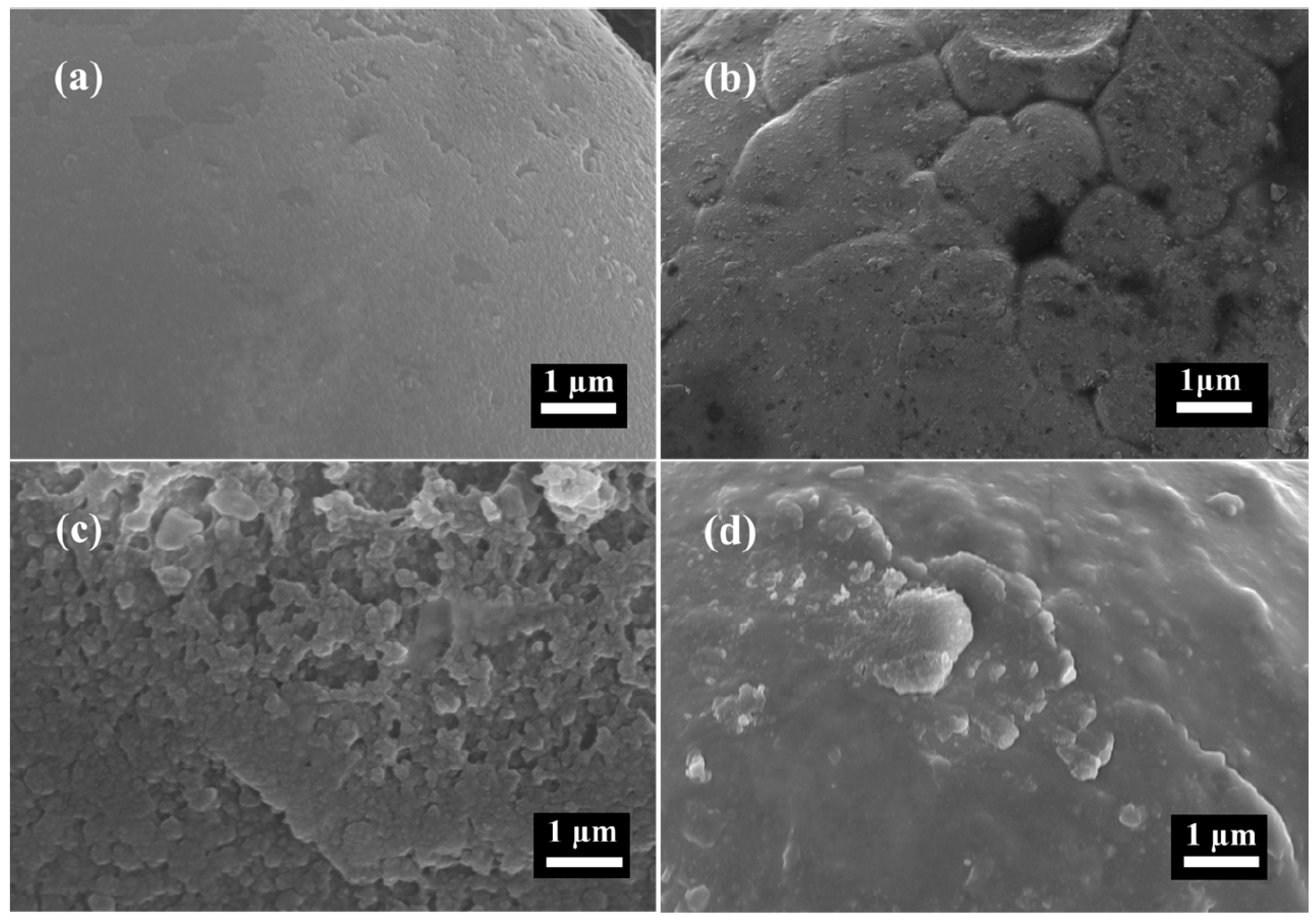 Metals 13 00560 g001