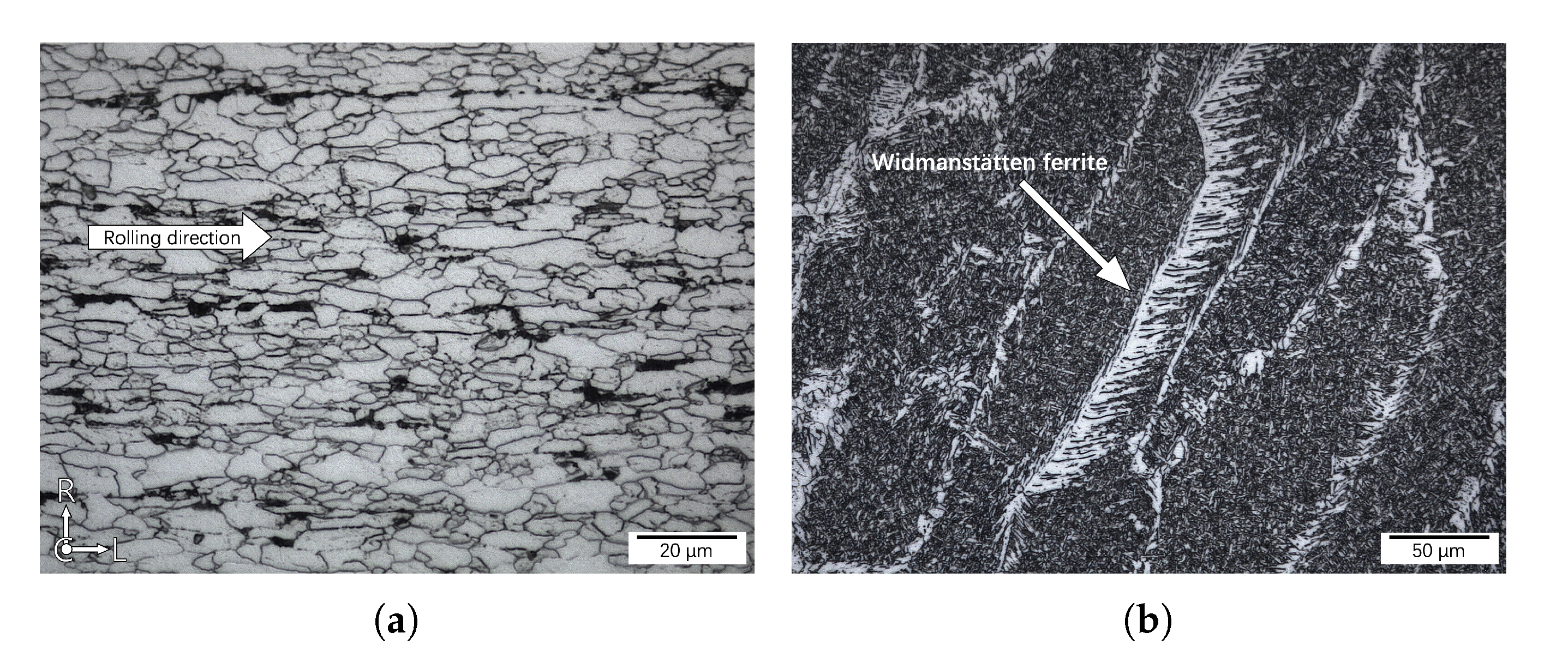 Metals 13 00563 g002