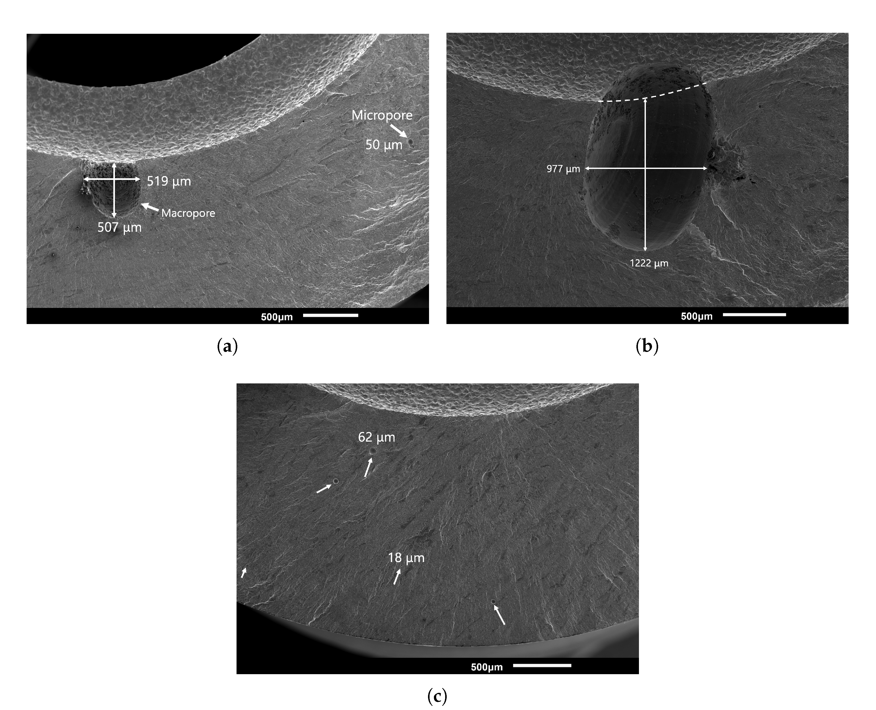 Metals 13 00563 g010