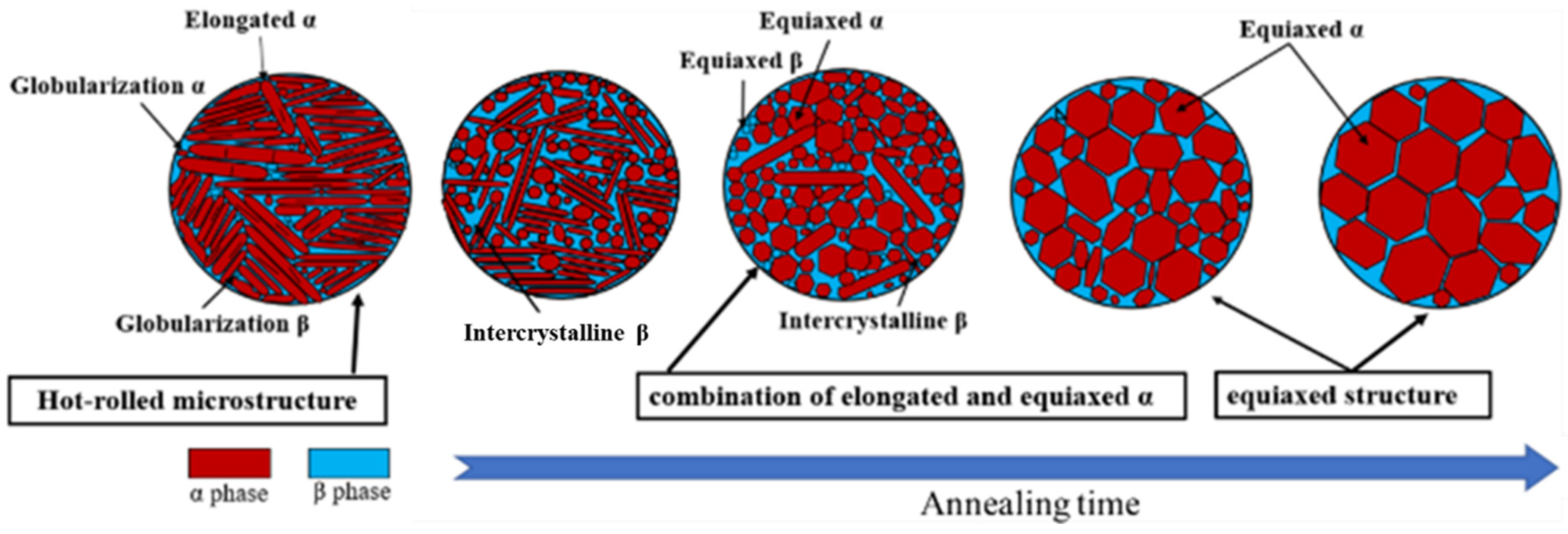 Metals 13 00566 g006