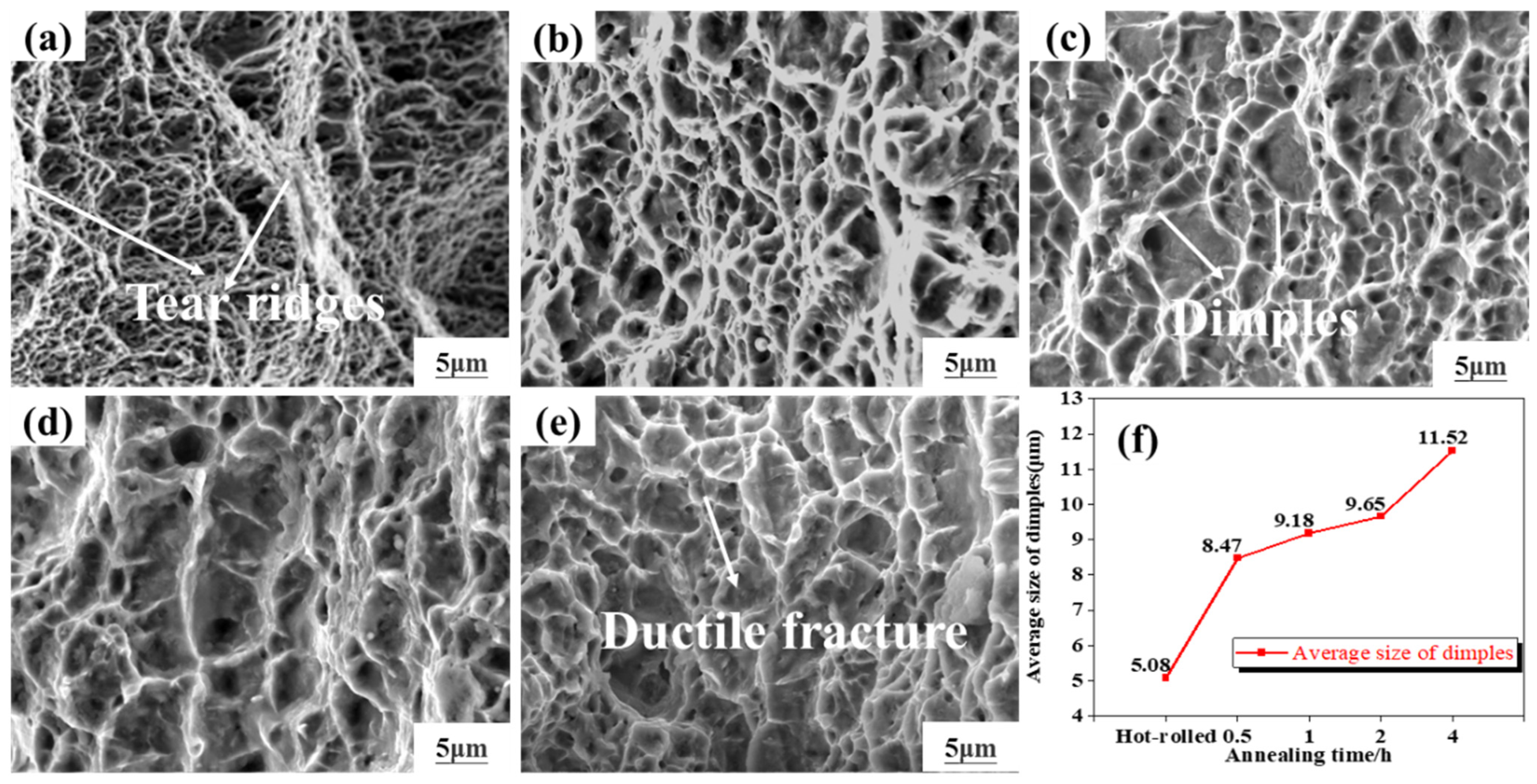 Metals 13 00566 g009