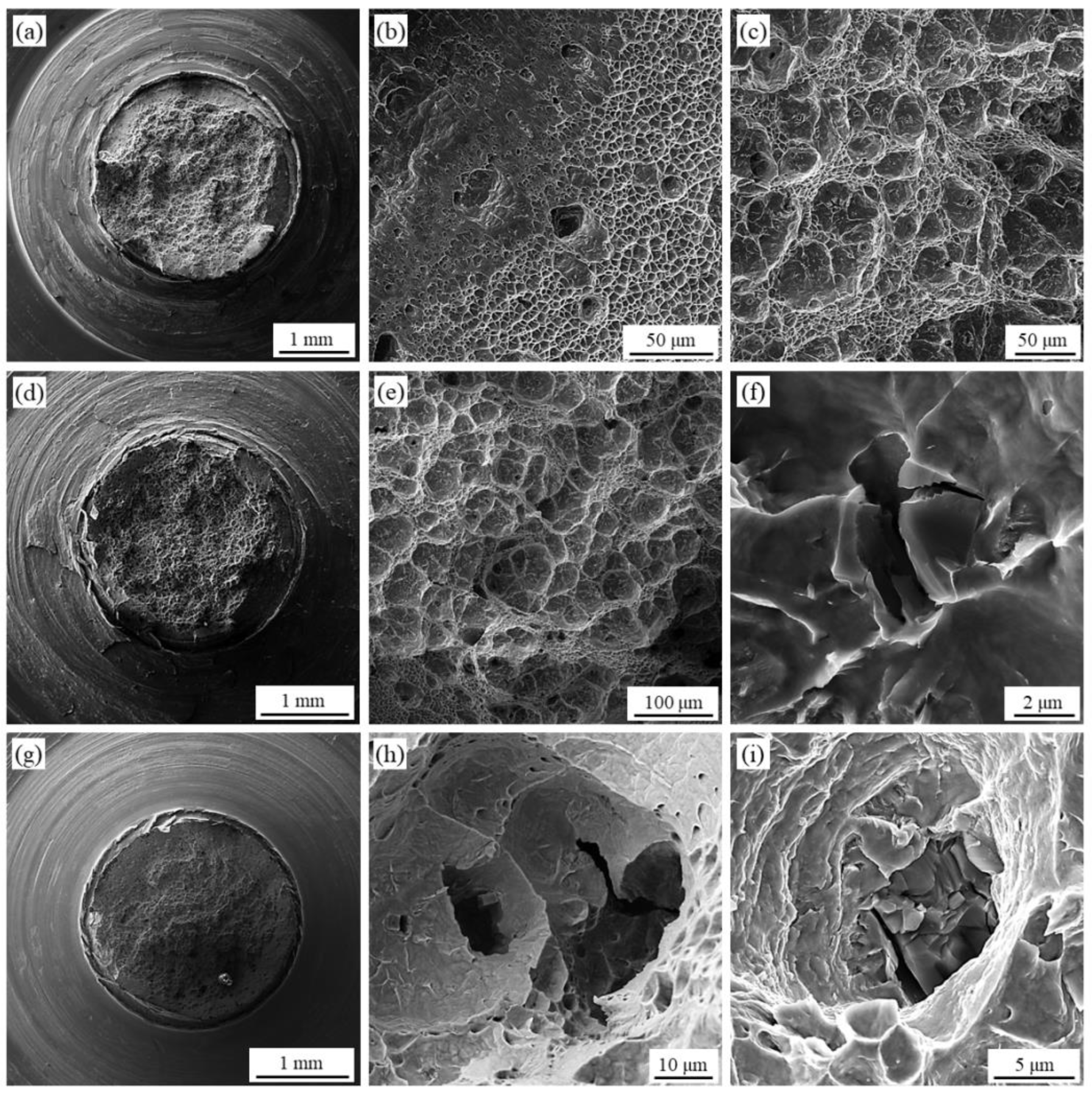 Metals 13 00567 g006