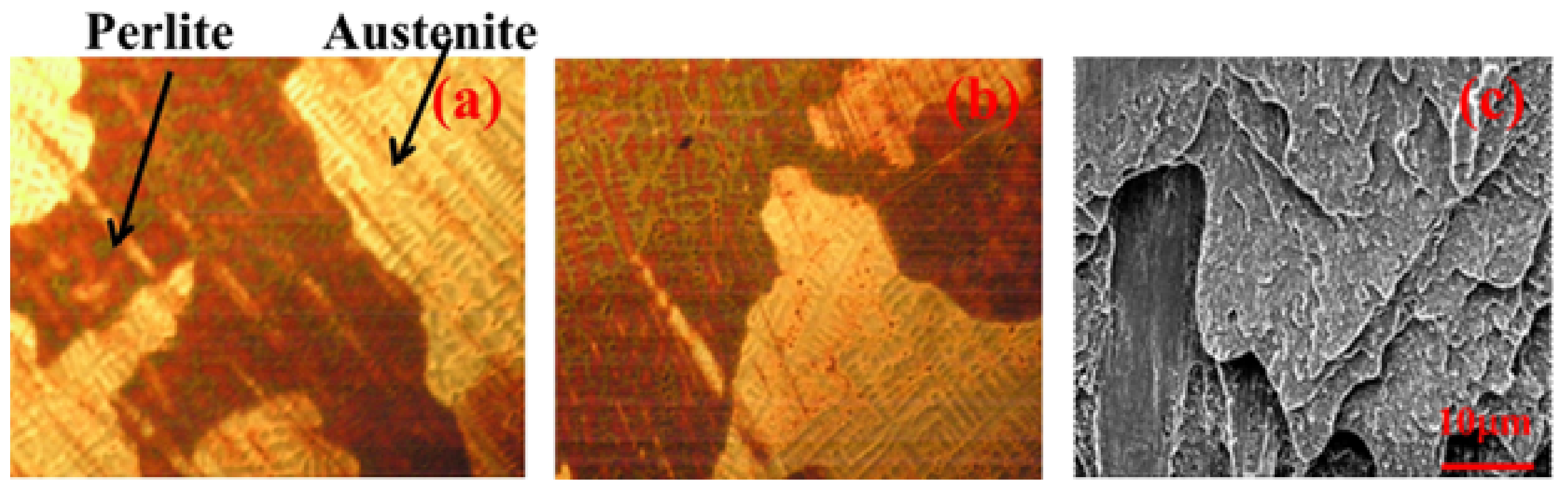 Metals 13 00572 g006