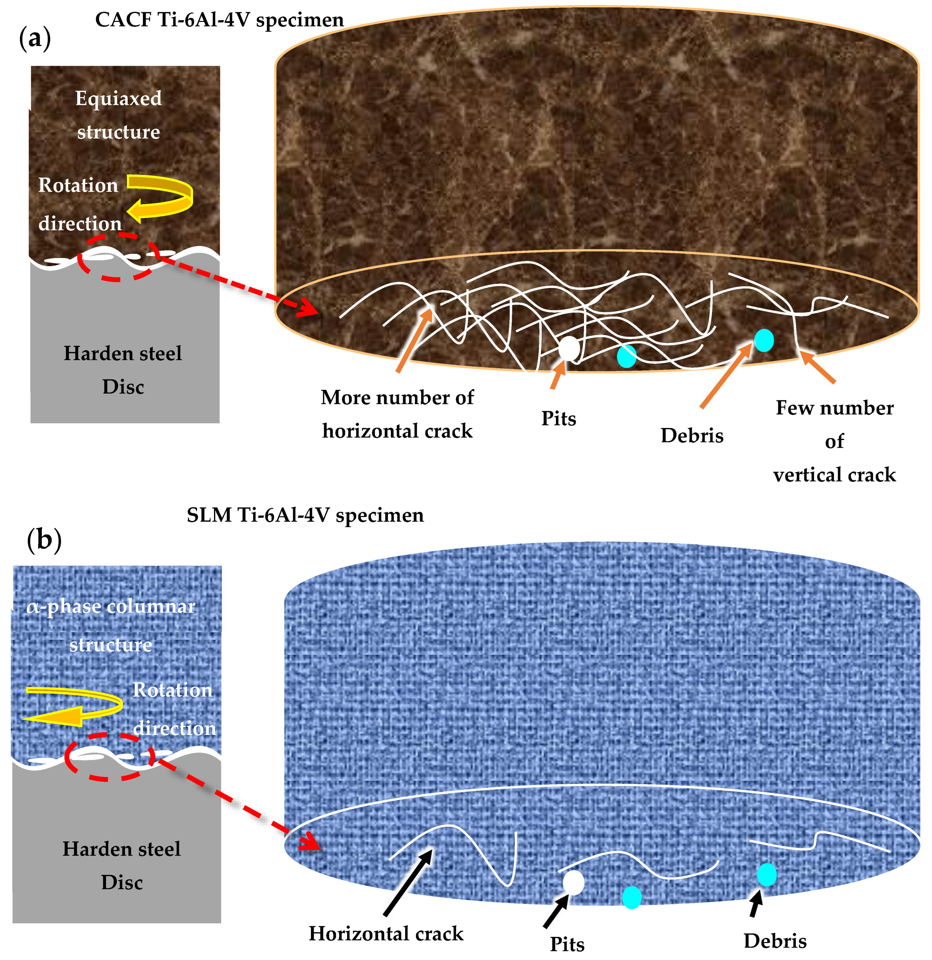 Metals 13 00575 g008
