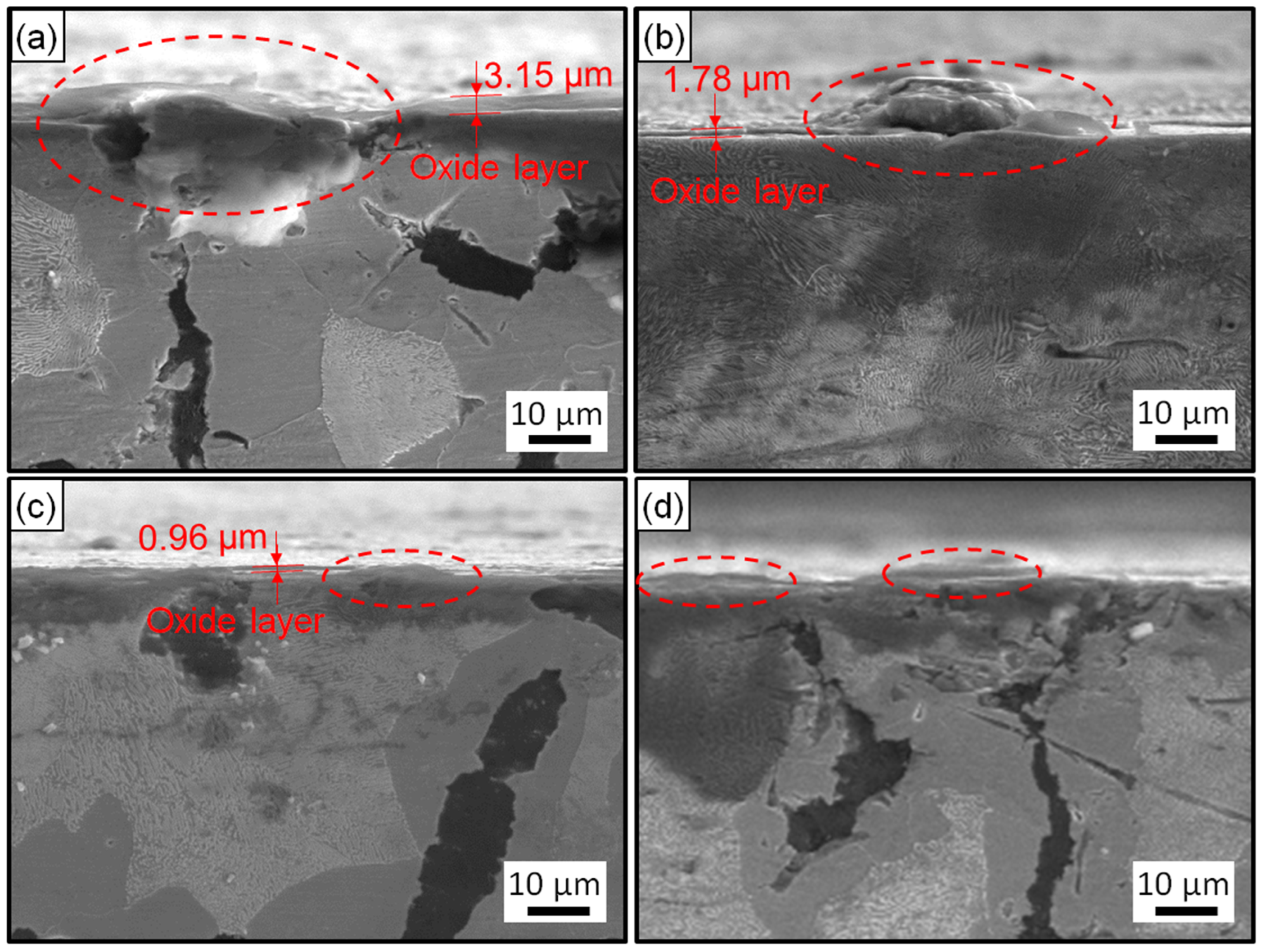 Metals 13 00577 g006