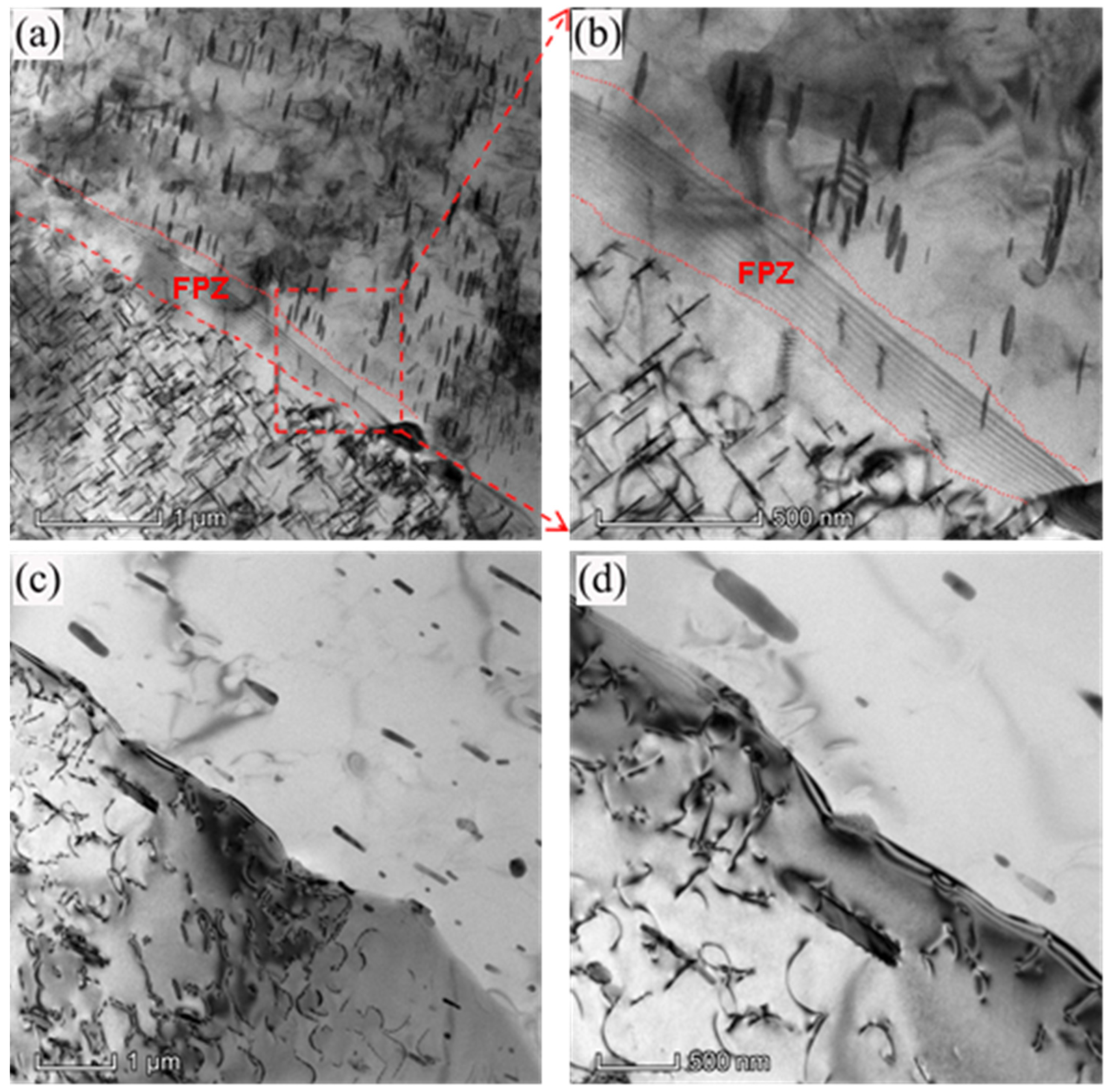 Metals 13 00578 g005