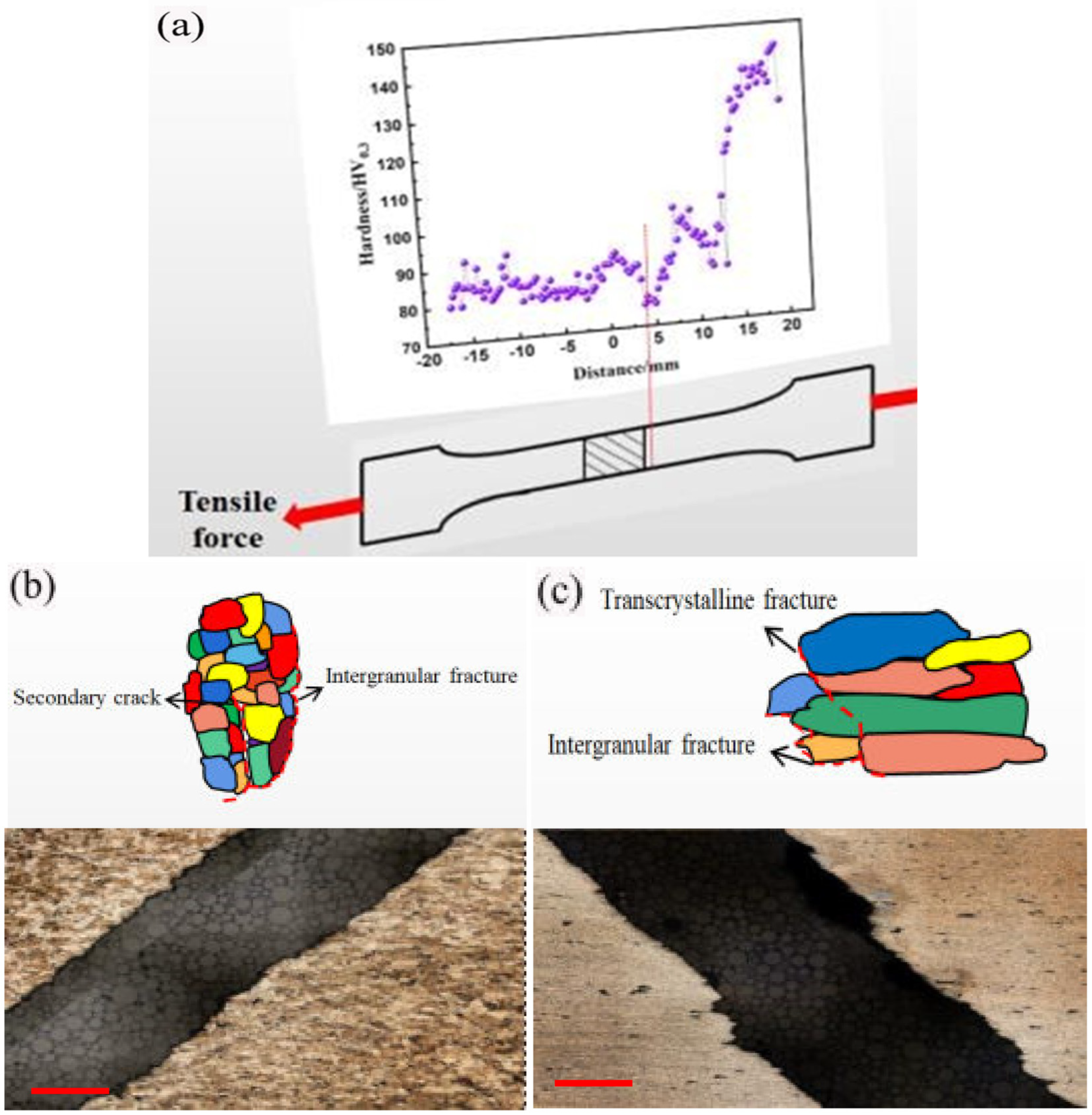 Metals 13 00578 g010