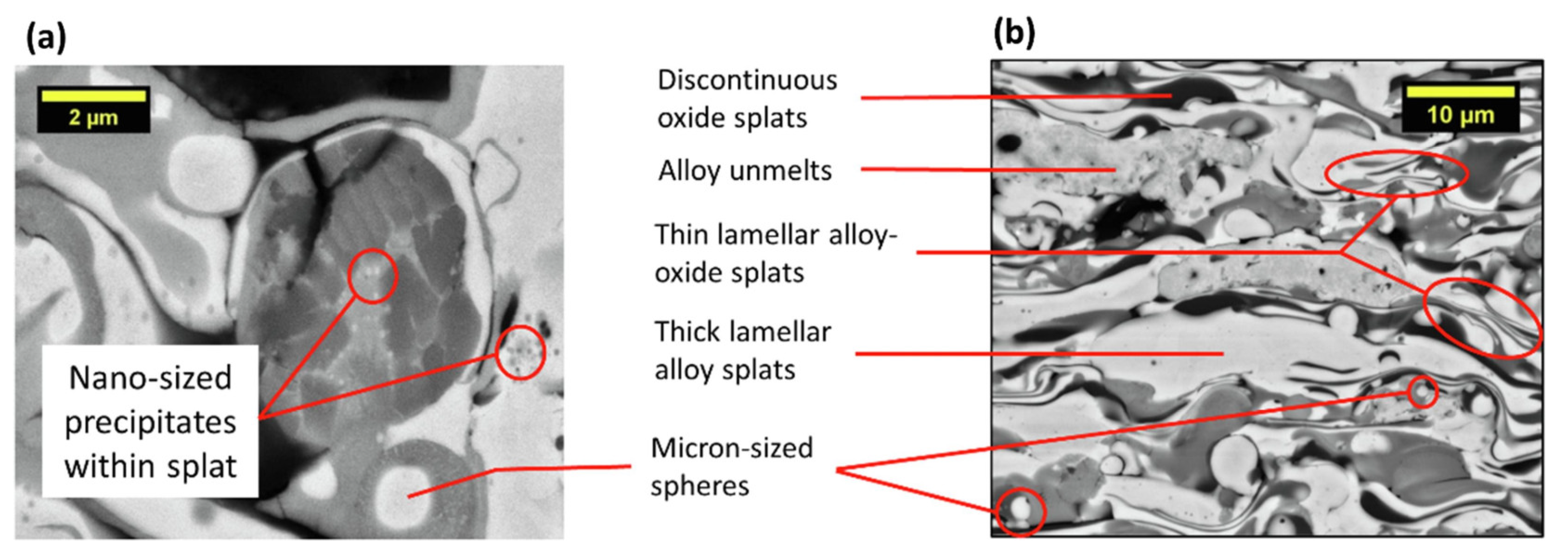 Metals 13 00579 g006