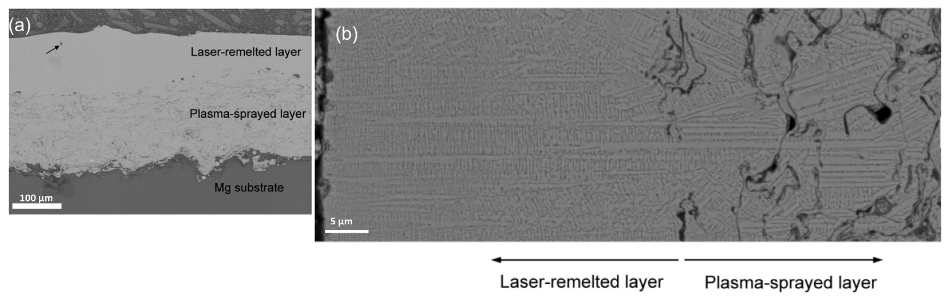 Metals 13 00579 g008