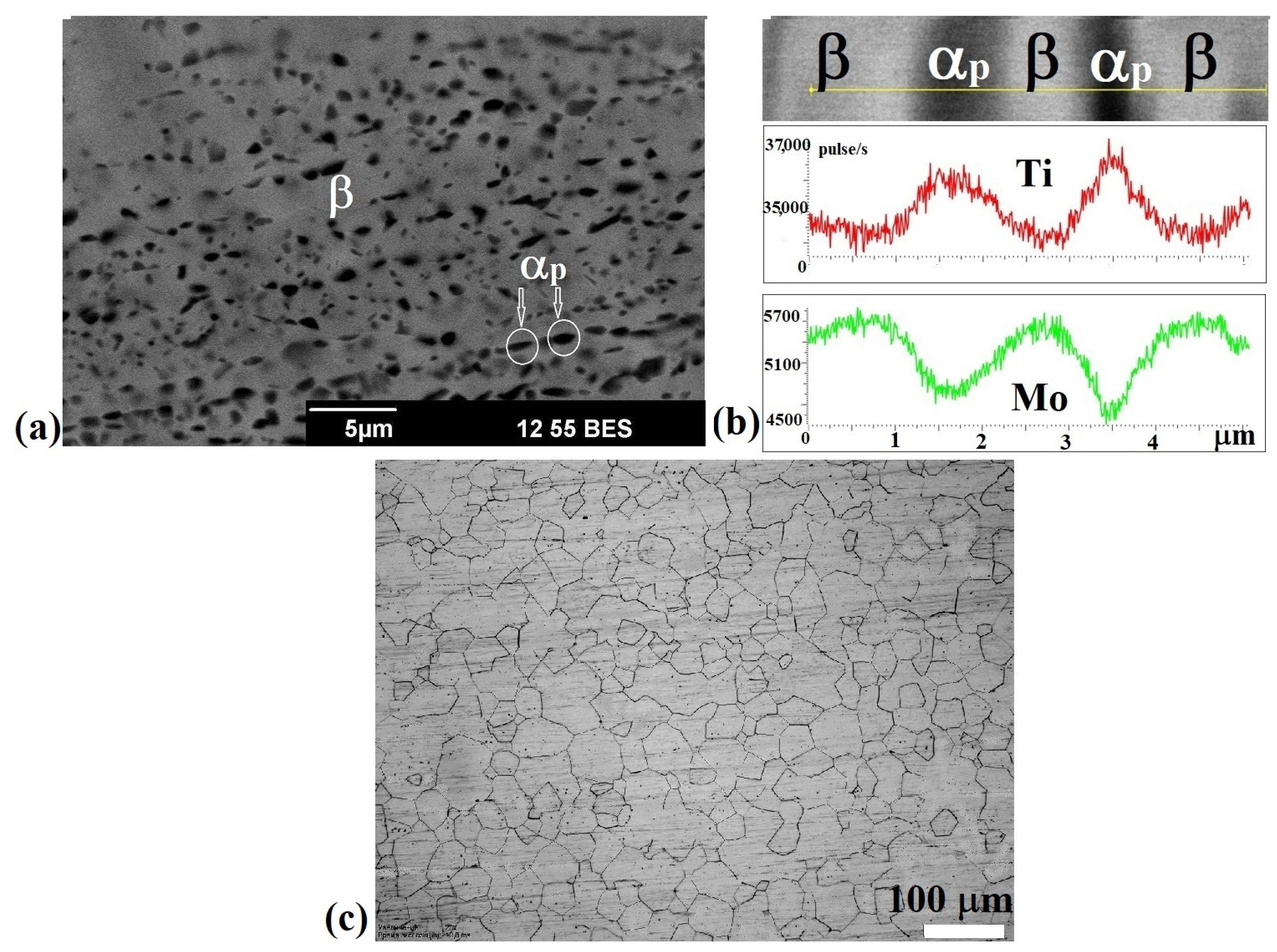 Metals 13 00580 g003 Metals 13 00580 g003