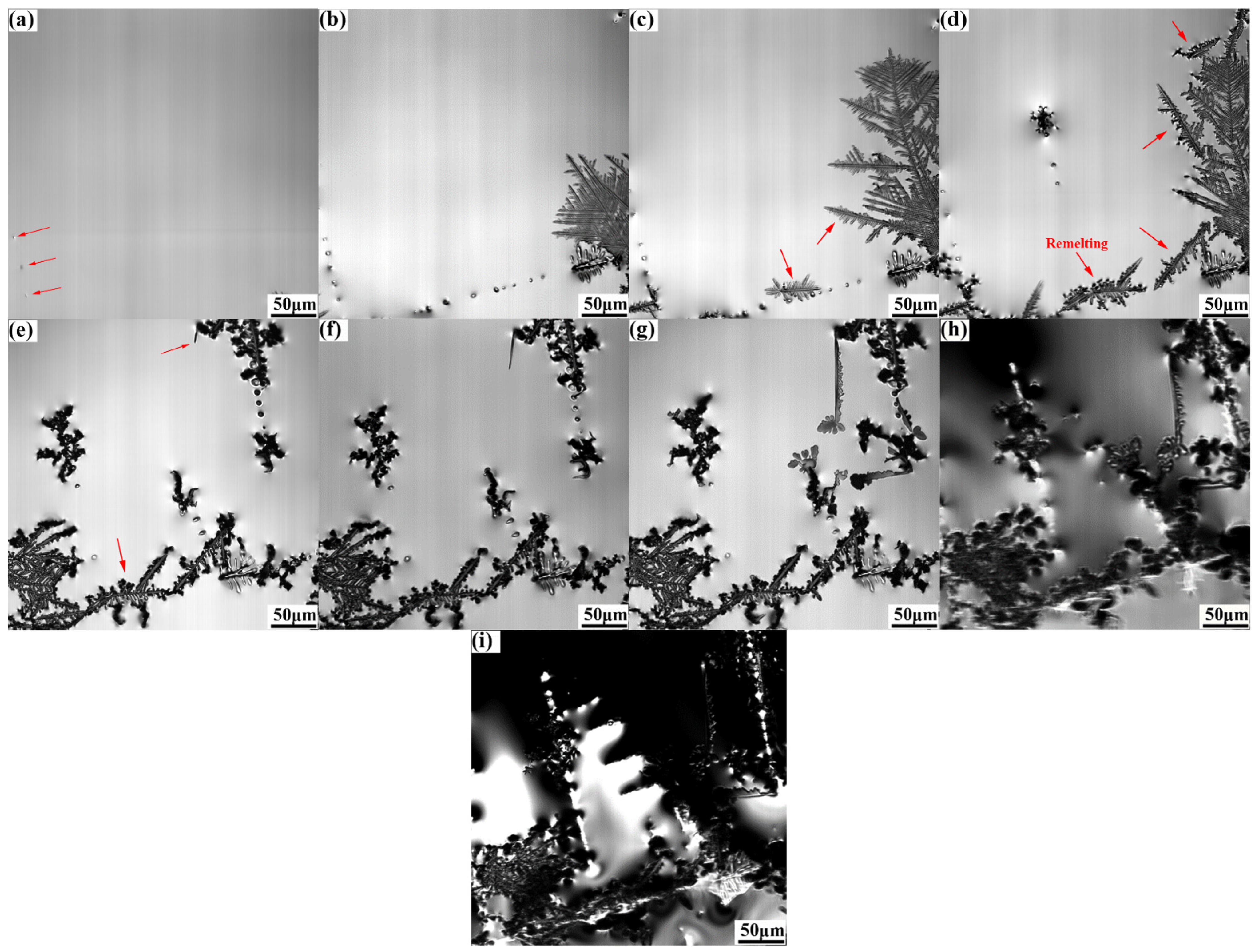 Metals 13 00581 g004 Metals 13 00581 g004