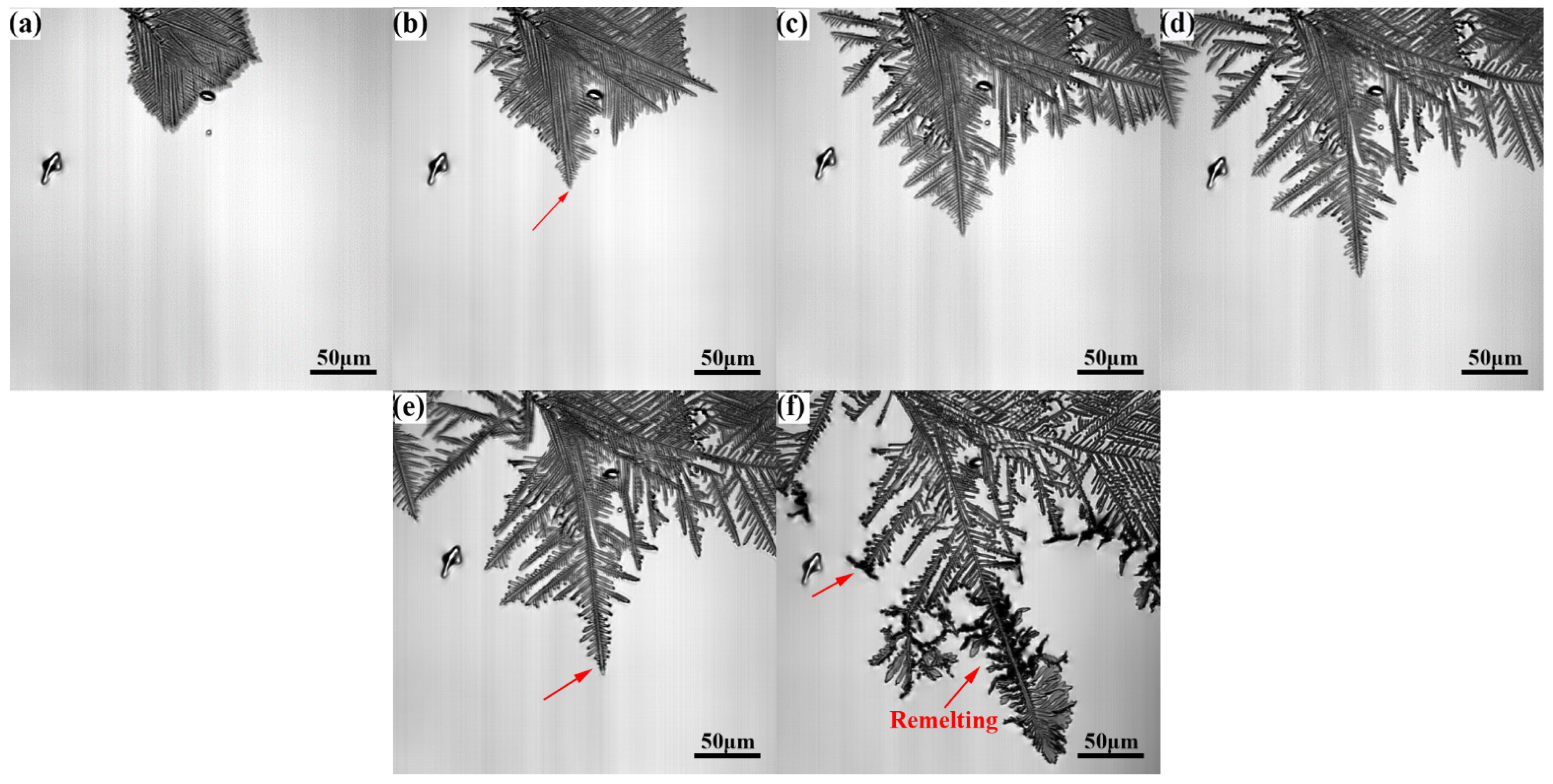 Metals 13 00581 g005 Metals 13 00581 g005