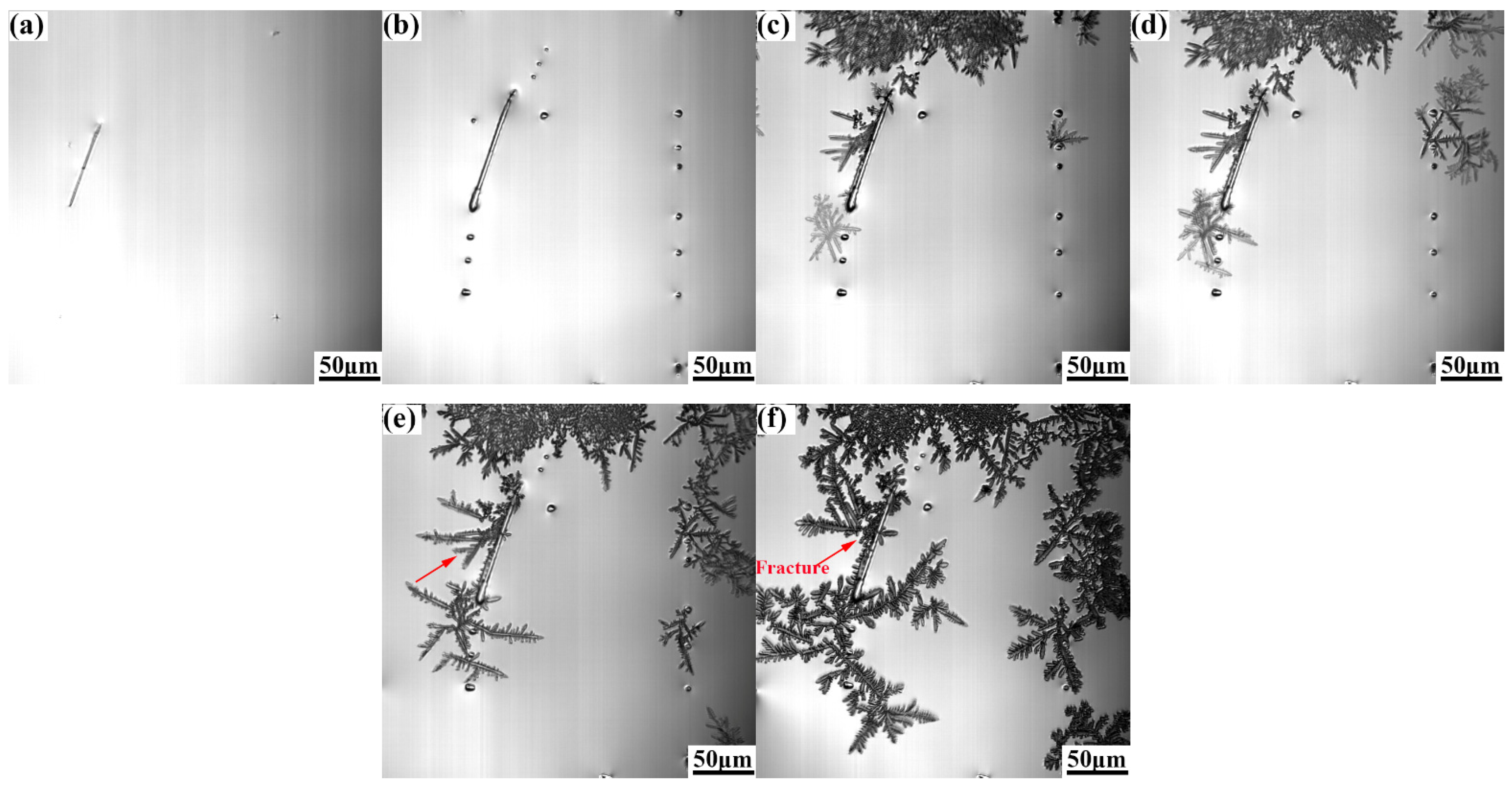 Metals 13 00581 g006 Metals 13 00581 g006