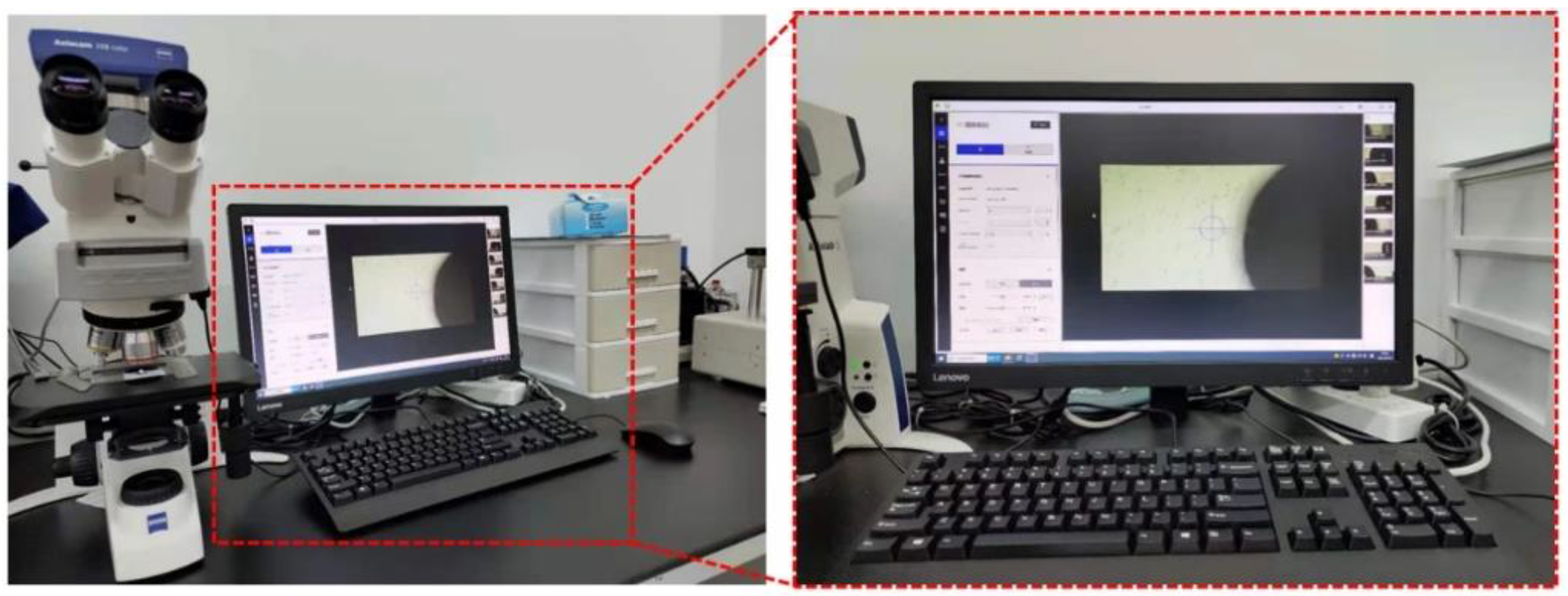 Metals 13 00588 g006