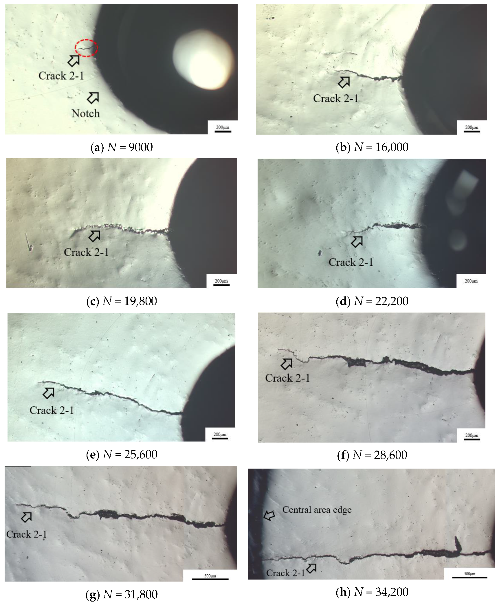 Metals 13 00588 g010