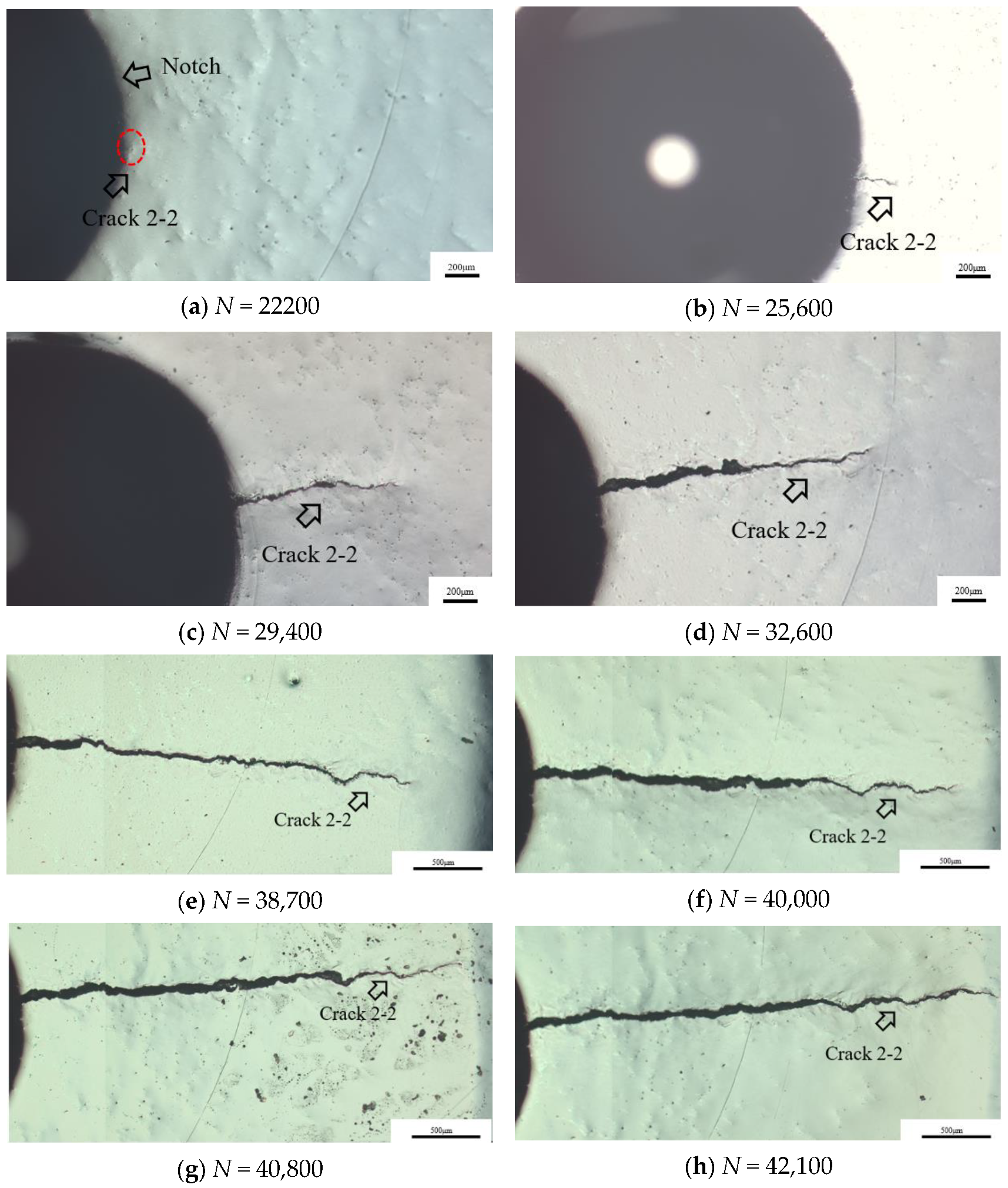 Metals 13 00588 g011