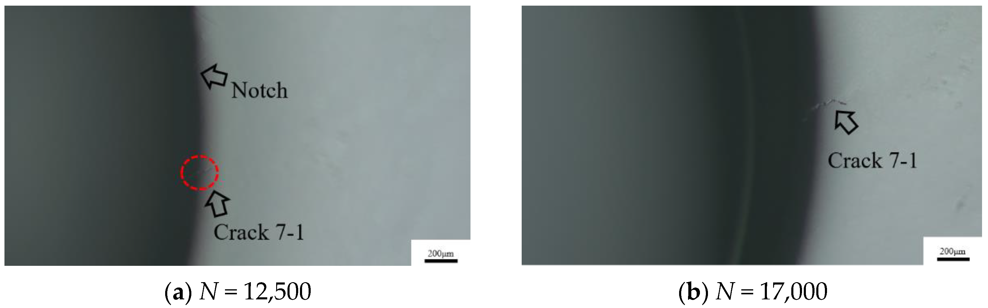 Metals 13 00588 g012a