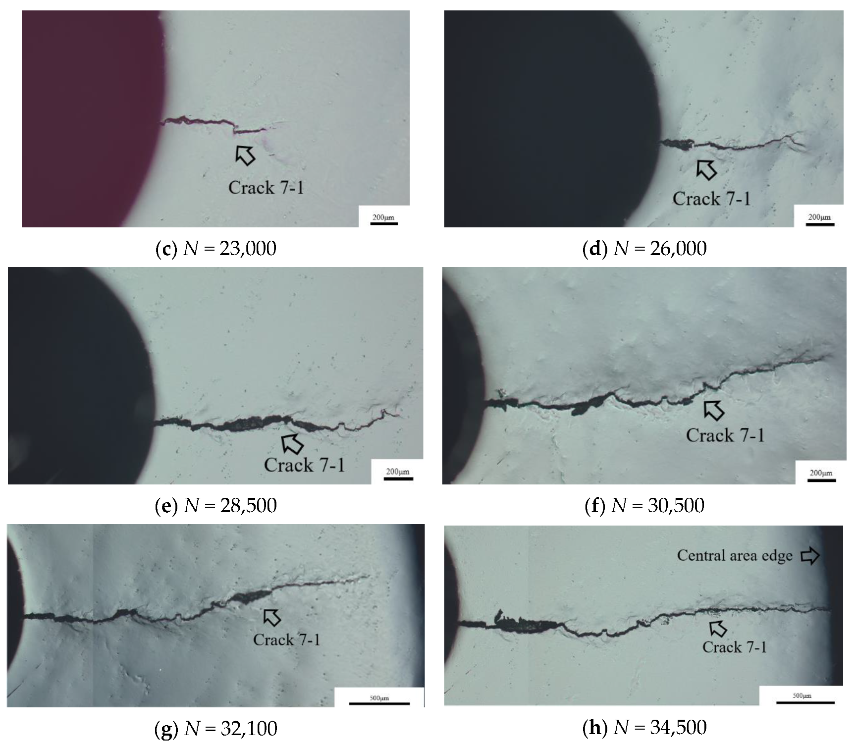 Metals 13 00588 g012b