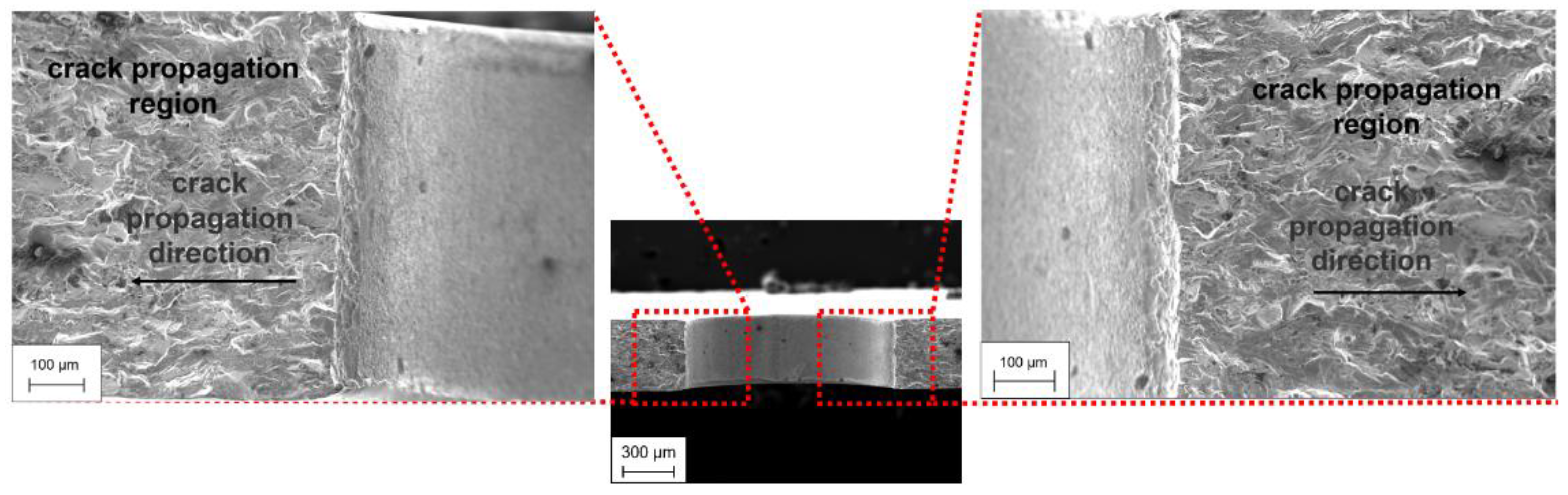 Metals 13 00588 g019