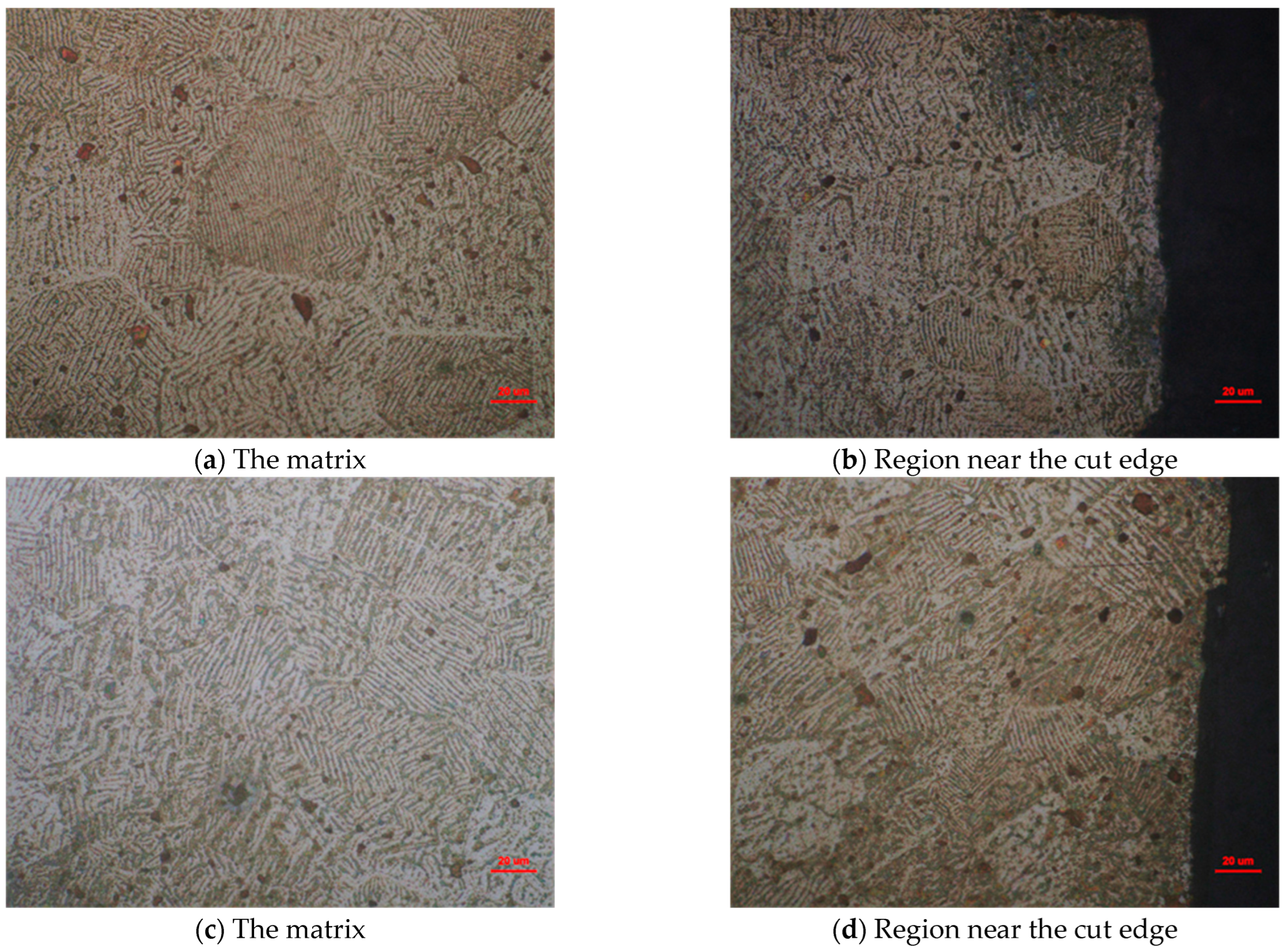 Metals 13 00595 g011