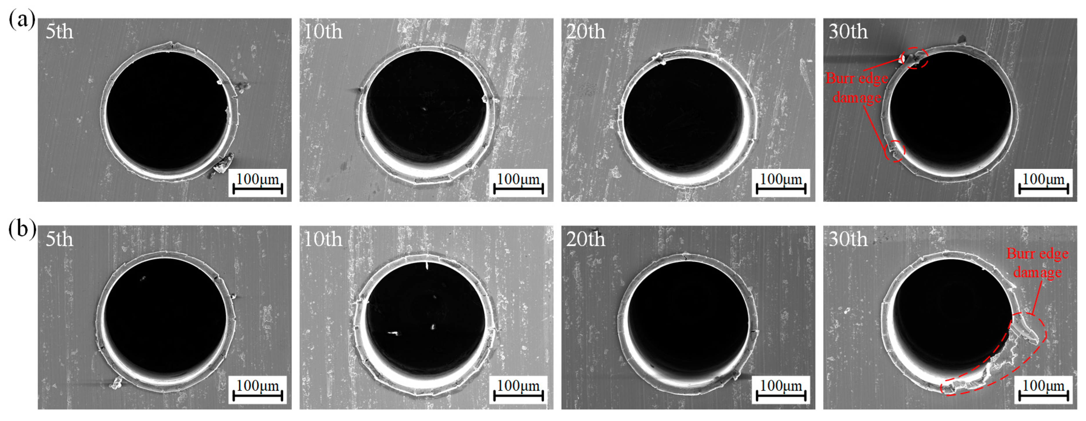 Metals 13 00608 g013