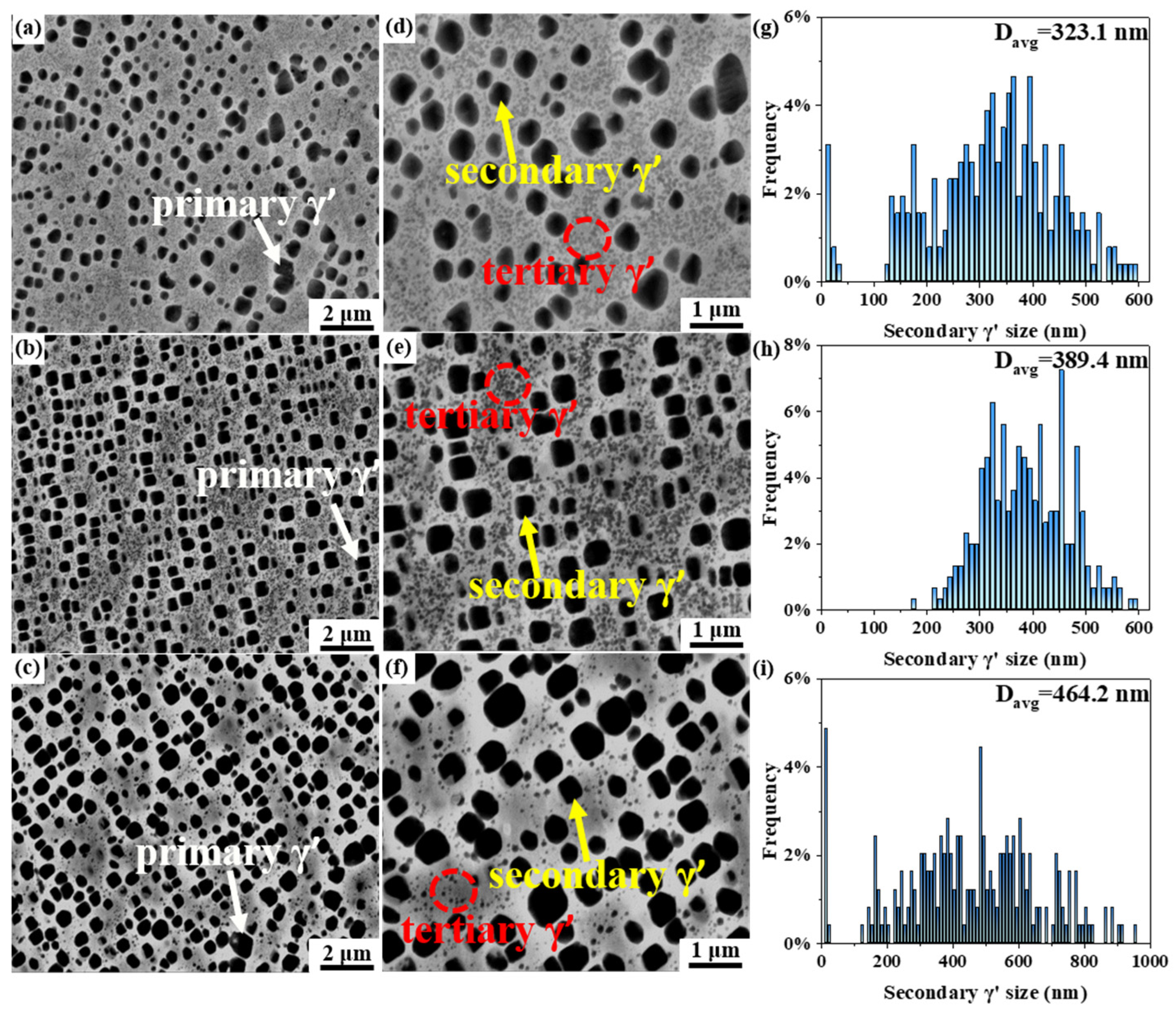 Metals 13 00611 g008