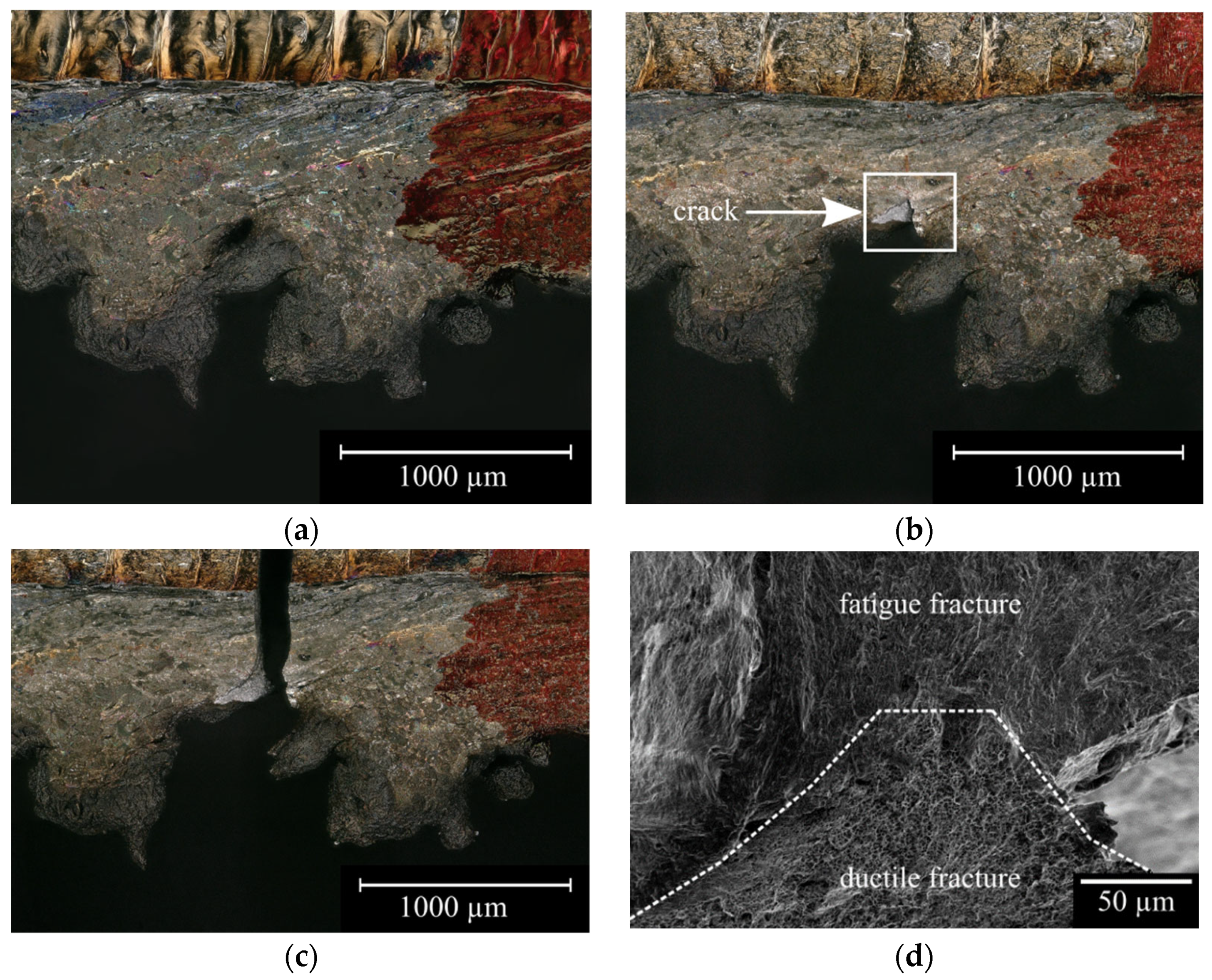 Metals 13 00624 g010