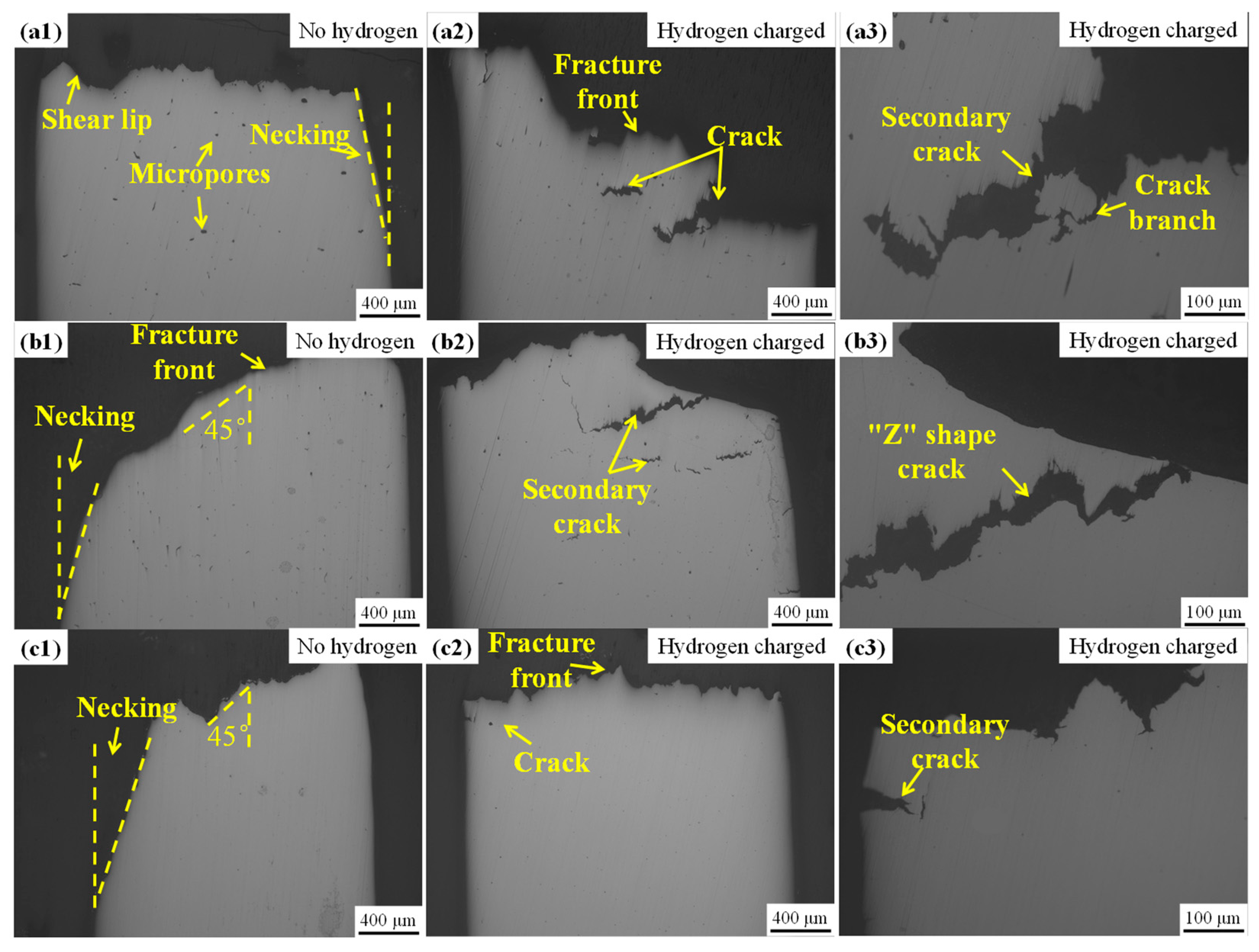 Metals 13 00630 g002 Metals 13 00630 g002