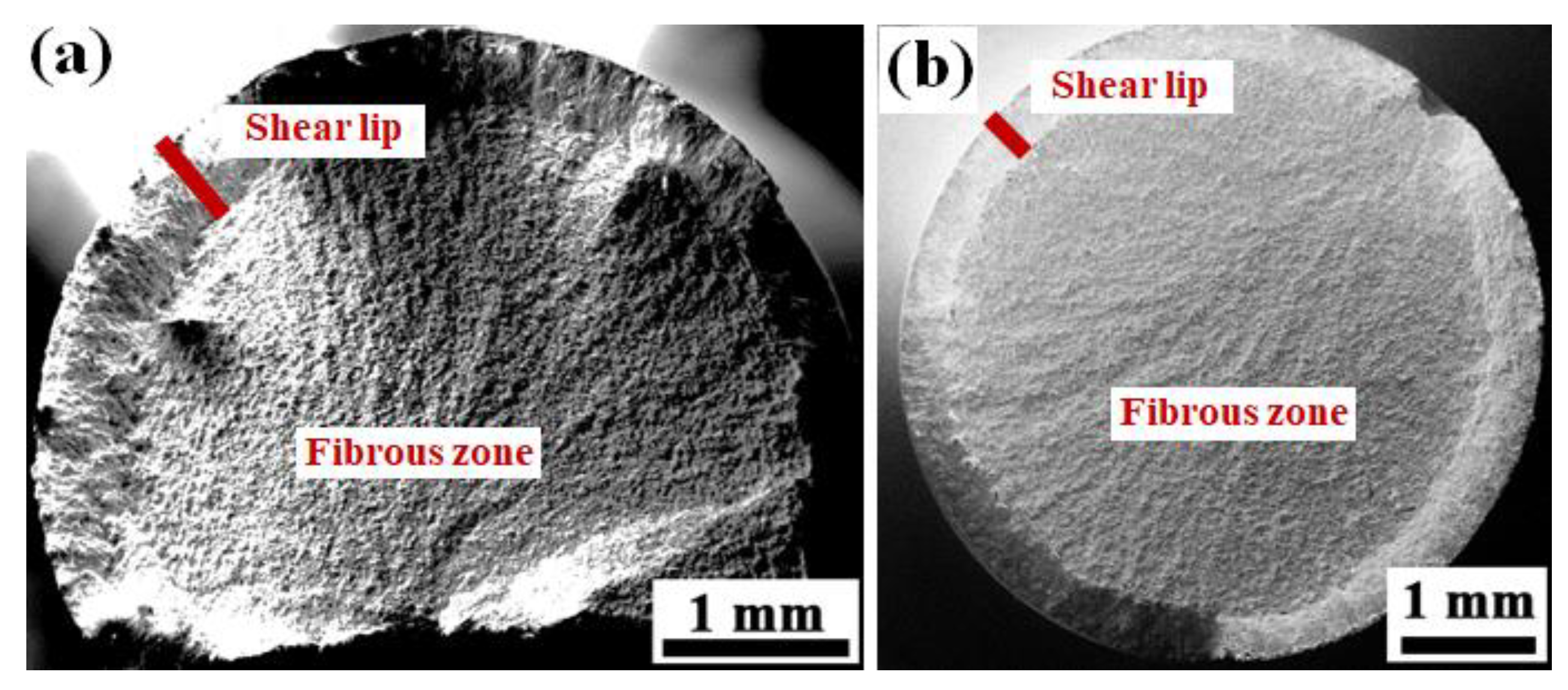 Metals 13 00632 g010