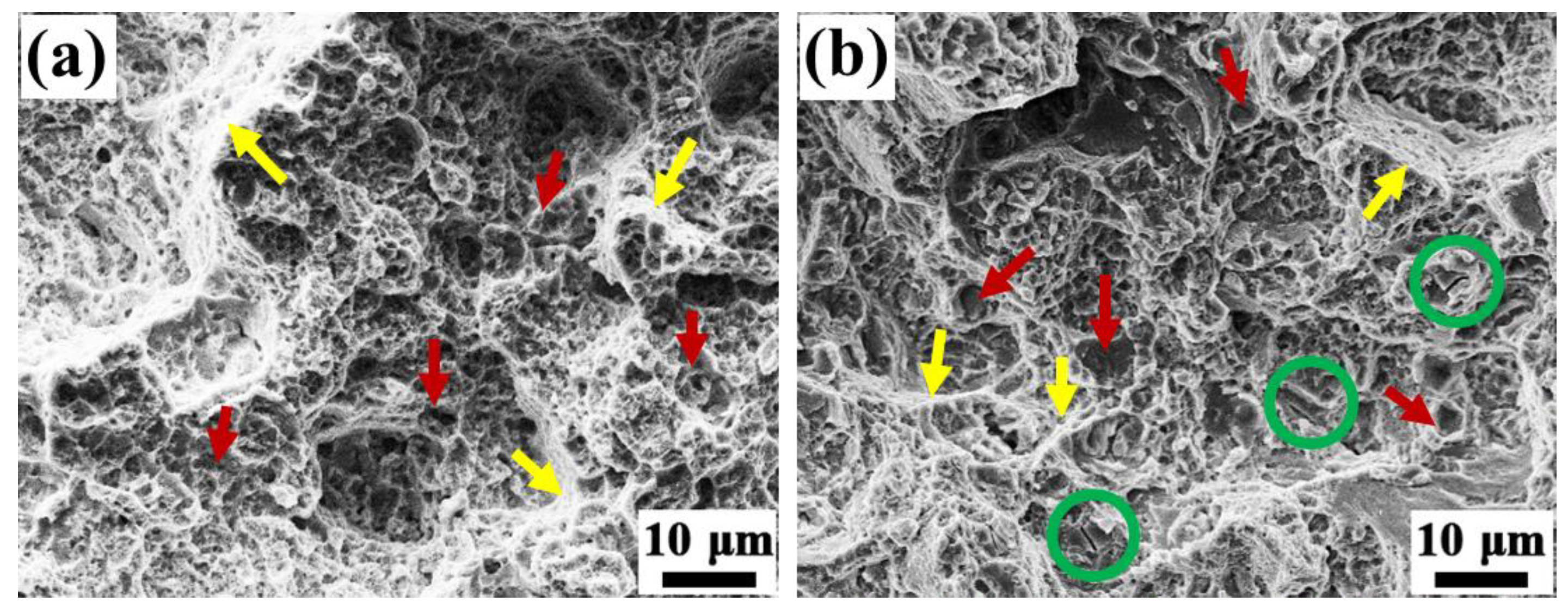 Metals 13 00632 g011