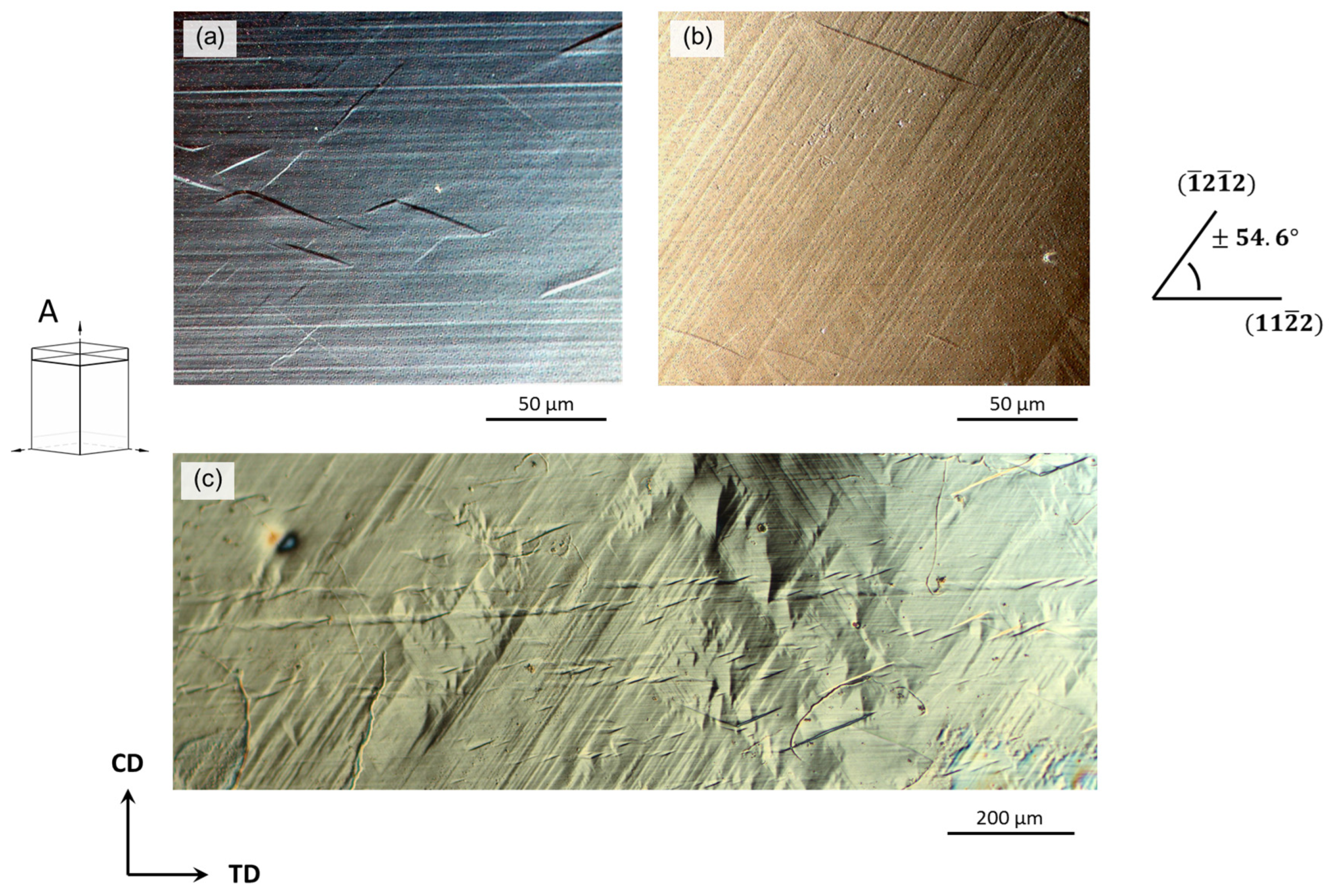 Metals 13 00640 g006