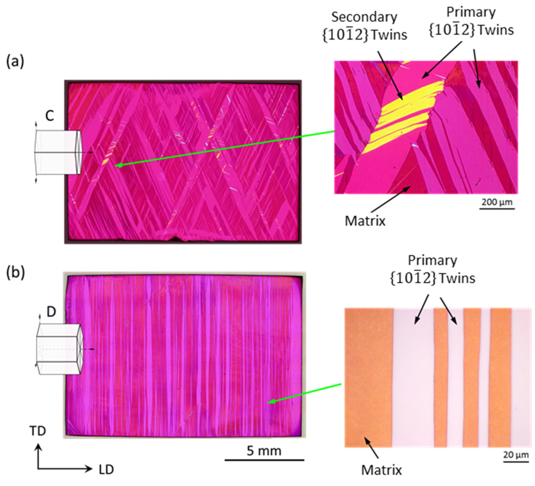 Metals 13 00640 g010