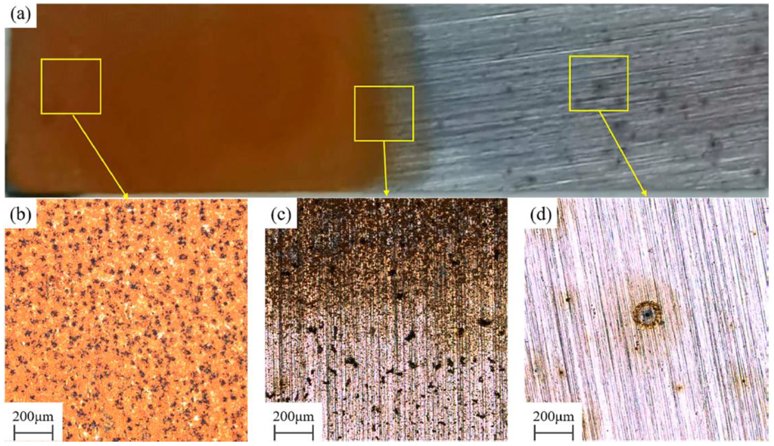 Metals 13 00641 g004