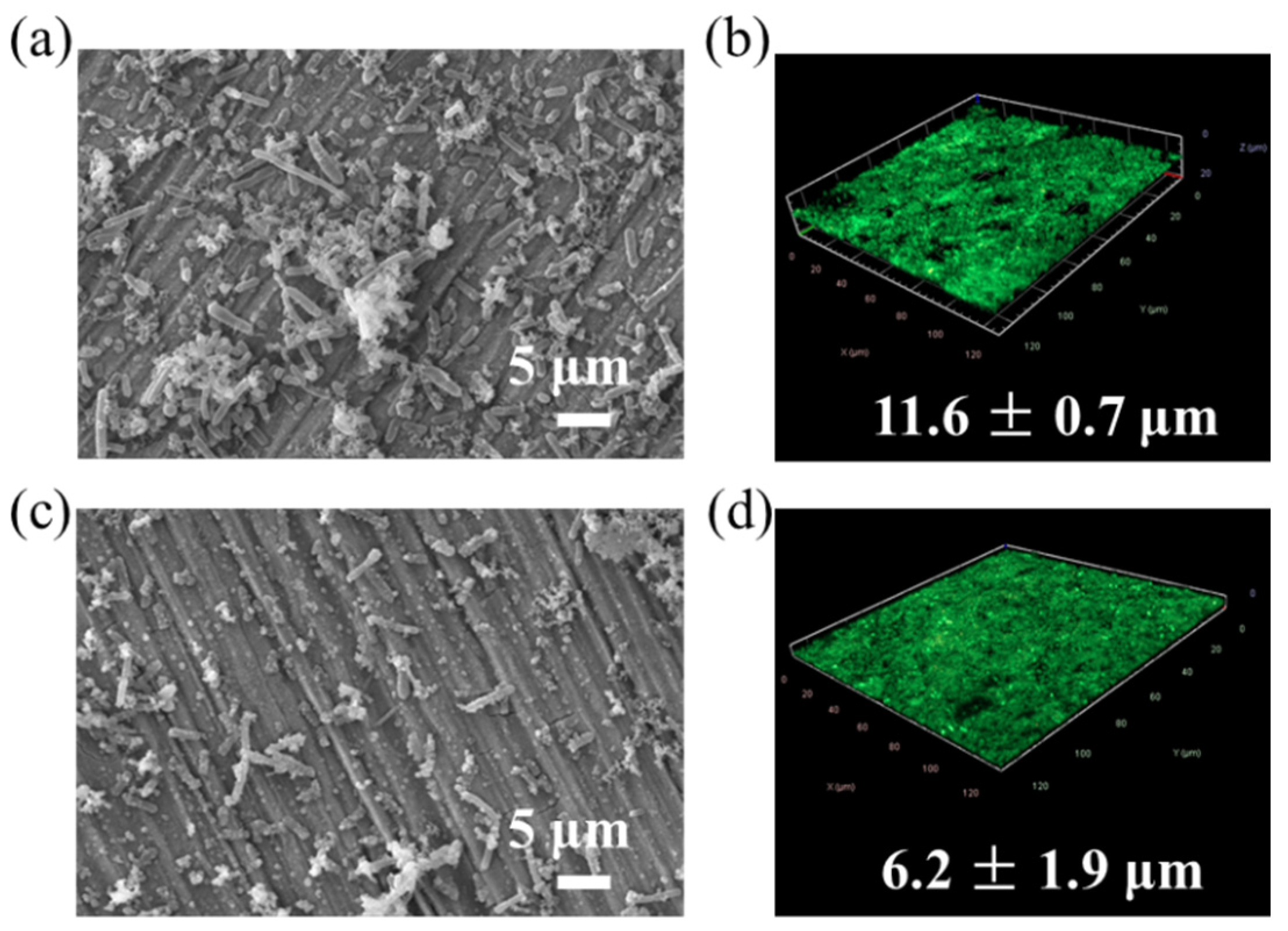 Metals 13 00649 g001 Metals 13 00649 g001