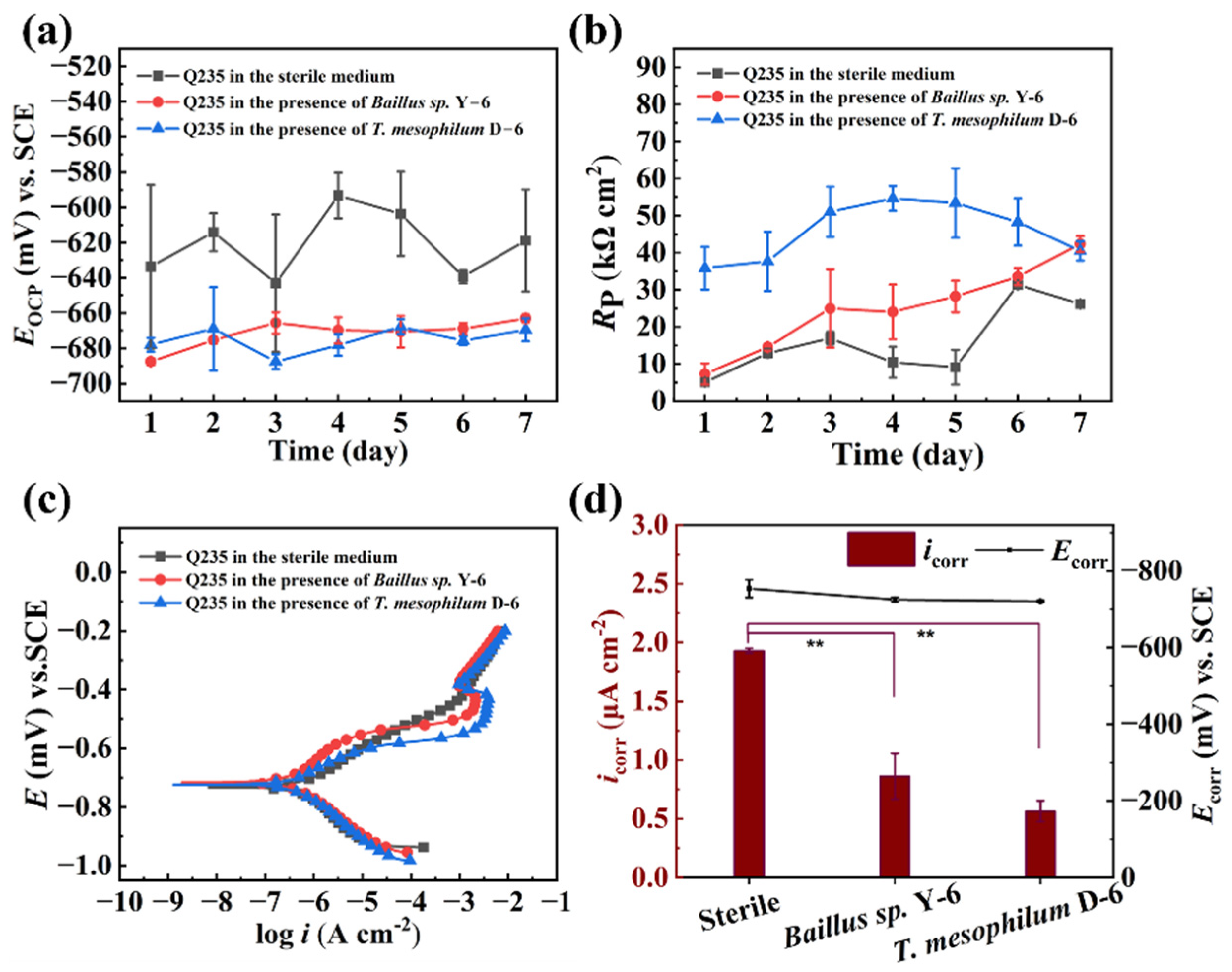 Metals 13 00649 g002 Metals 13 00649 g002