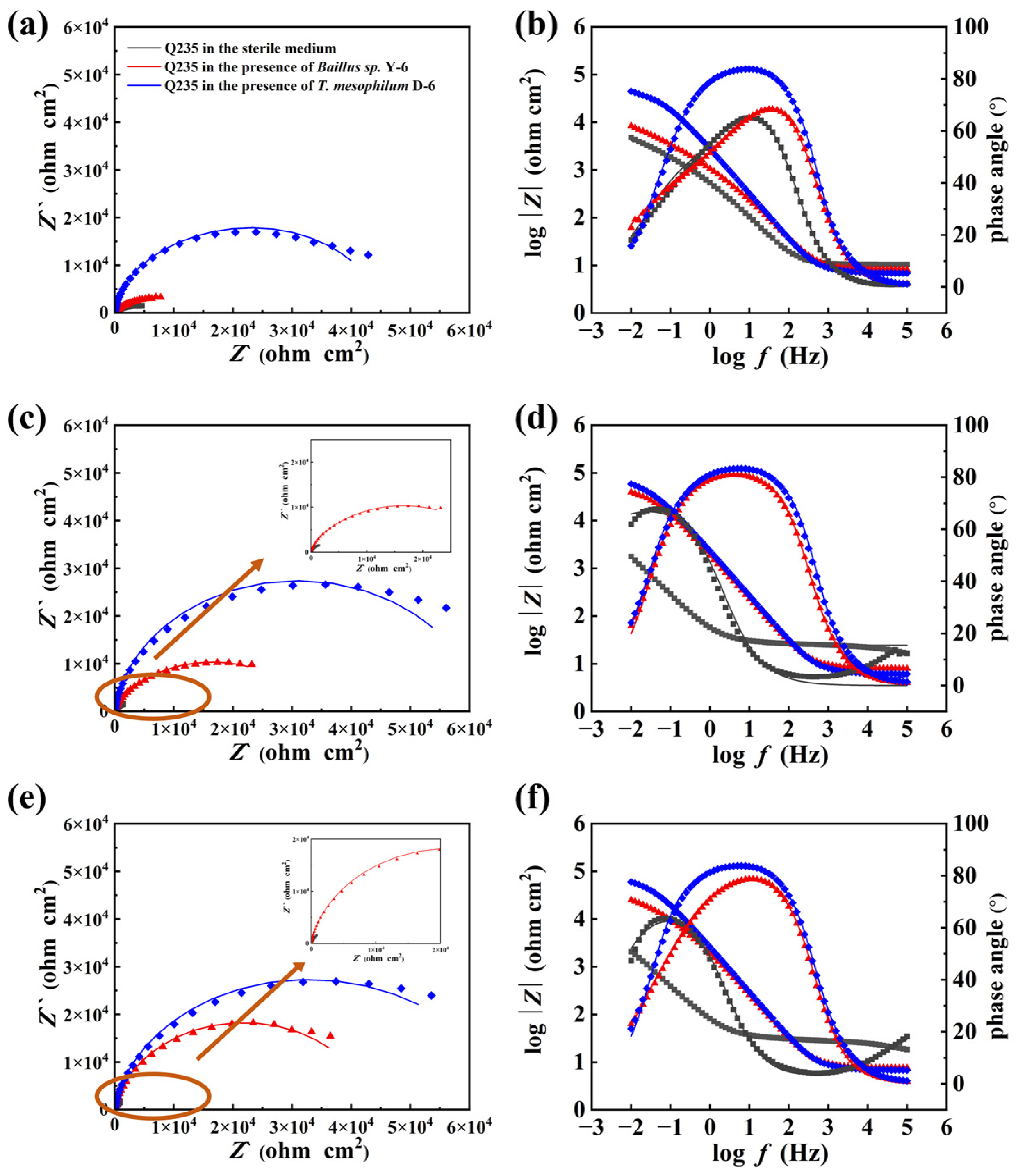 Metals 13 00649 g003 Metals 13 00649 g003