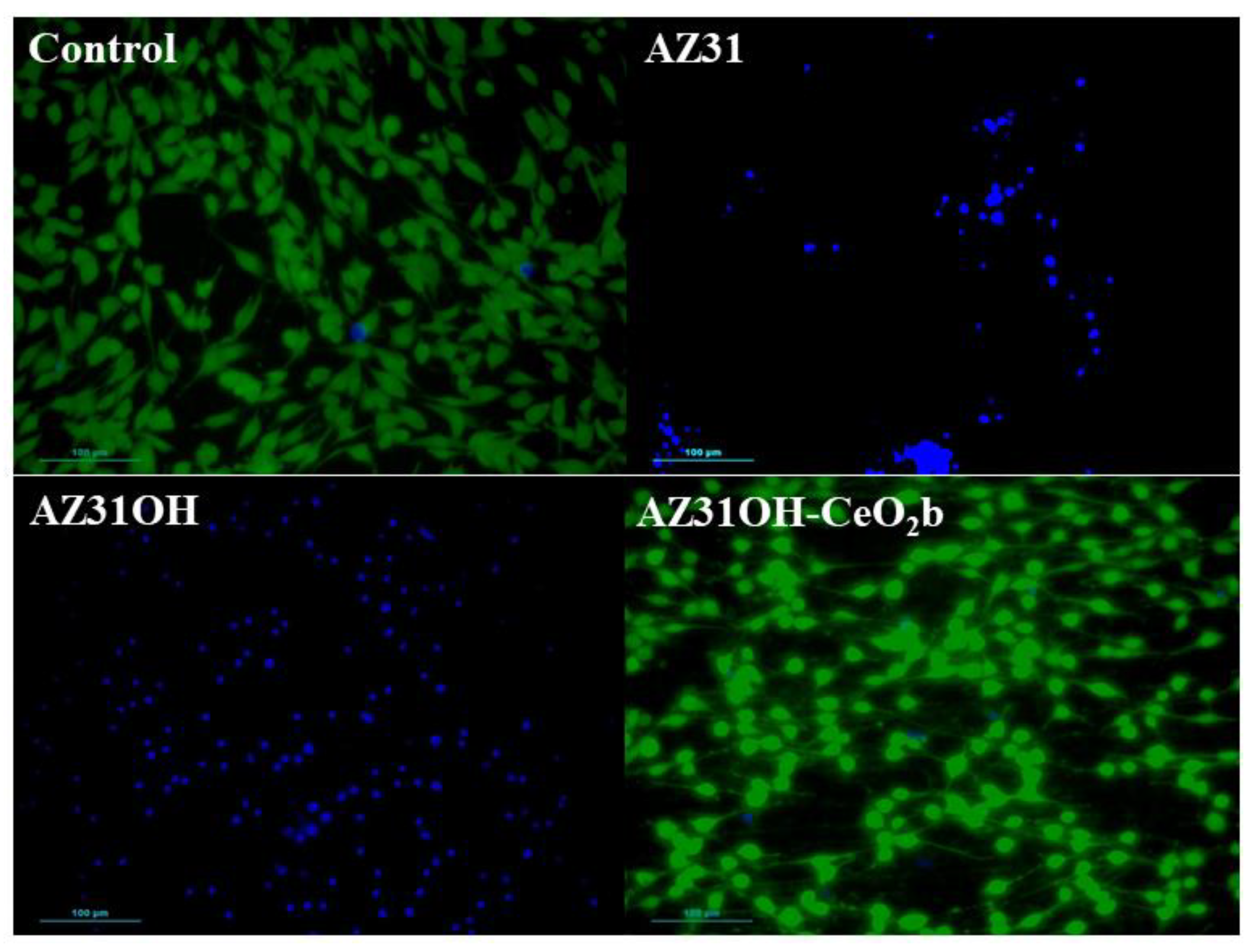 Metals 13 00653 g008