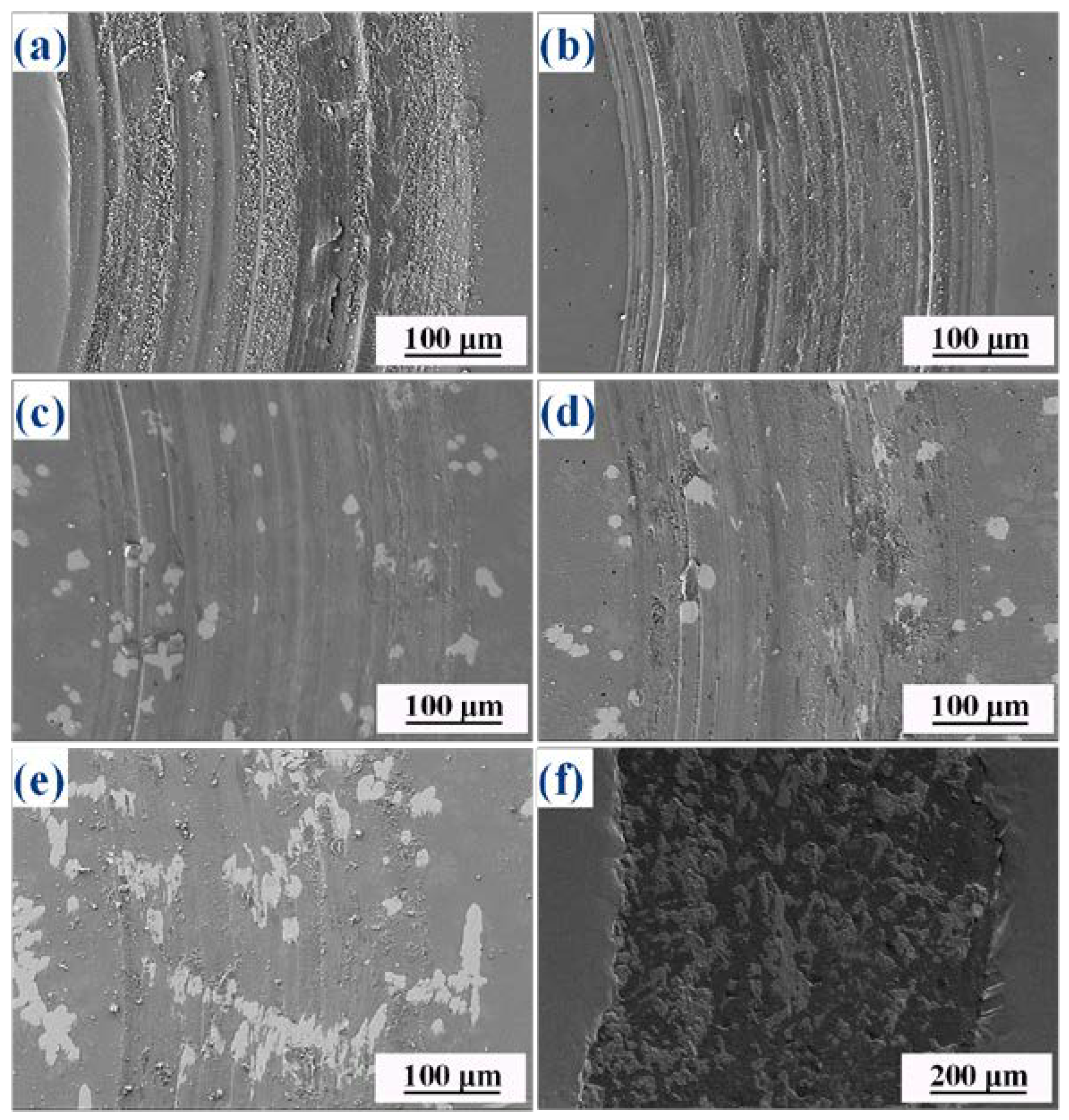 Metals 13 00656 g007 Metals 13 00656 g007