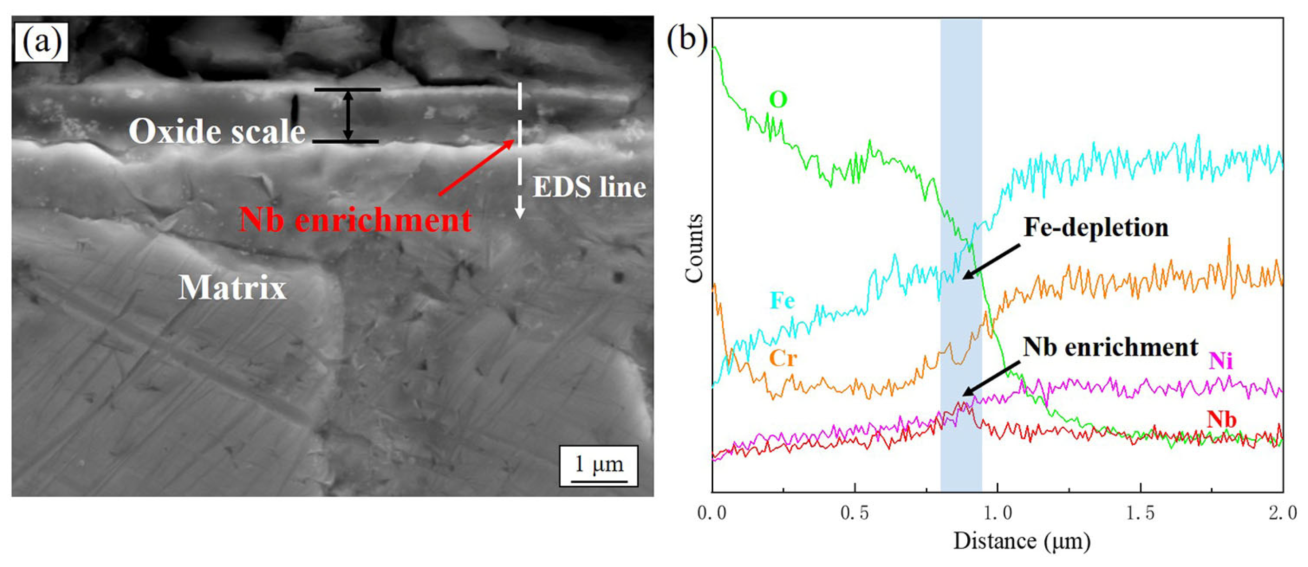 Metals 13 00665 g007
