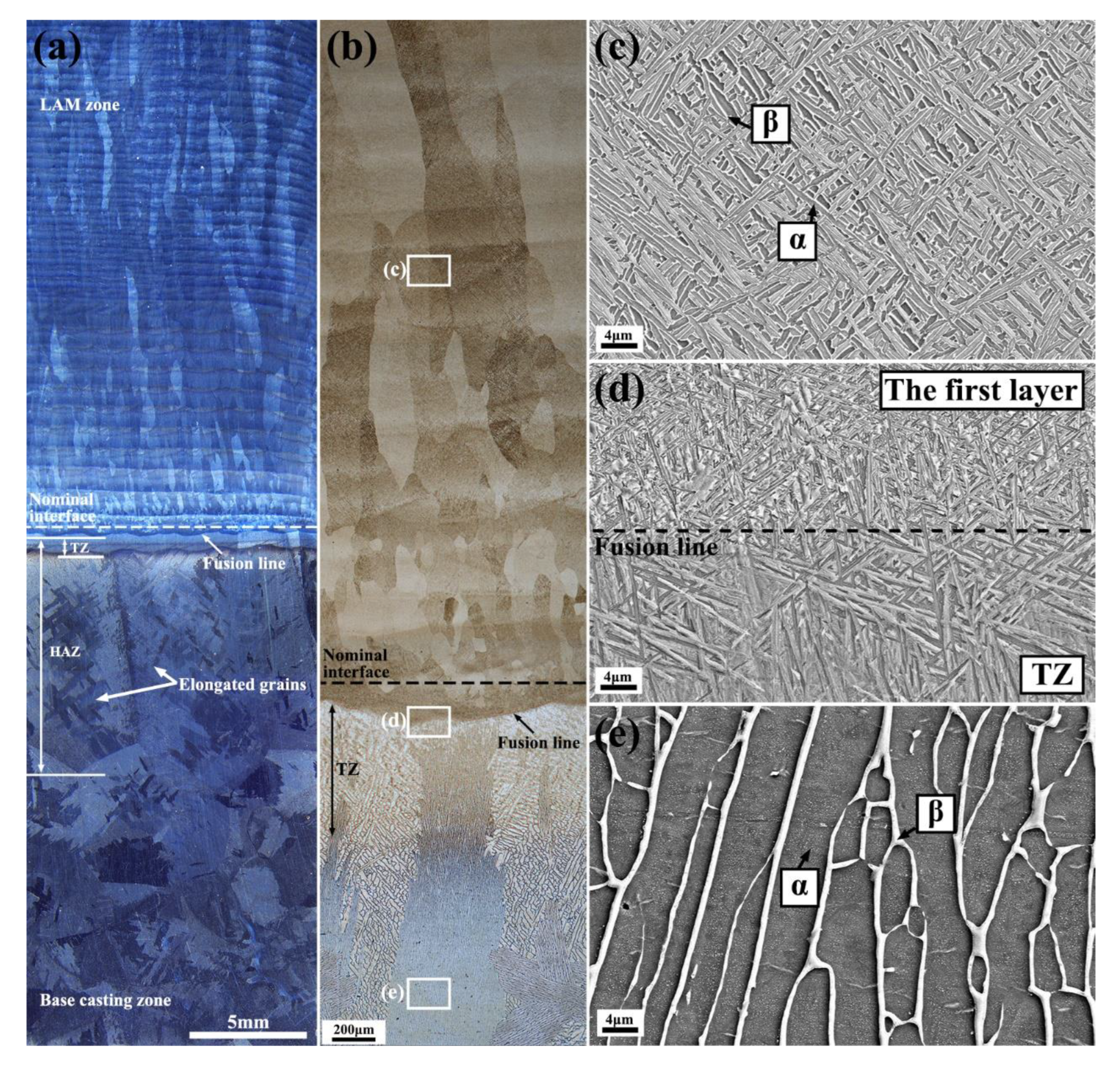 Metals 13 00668 g002